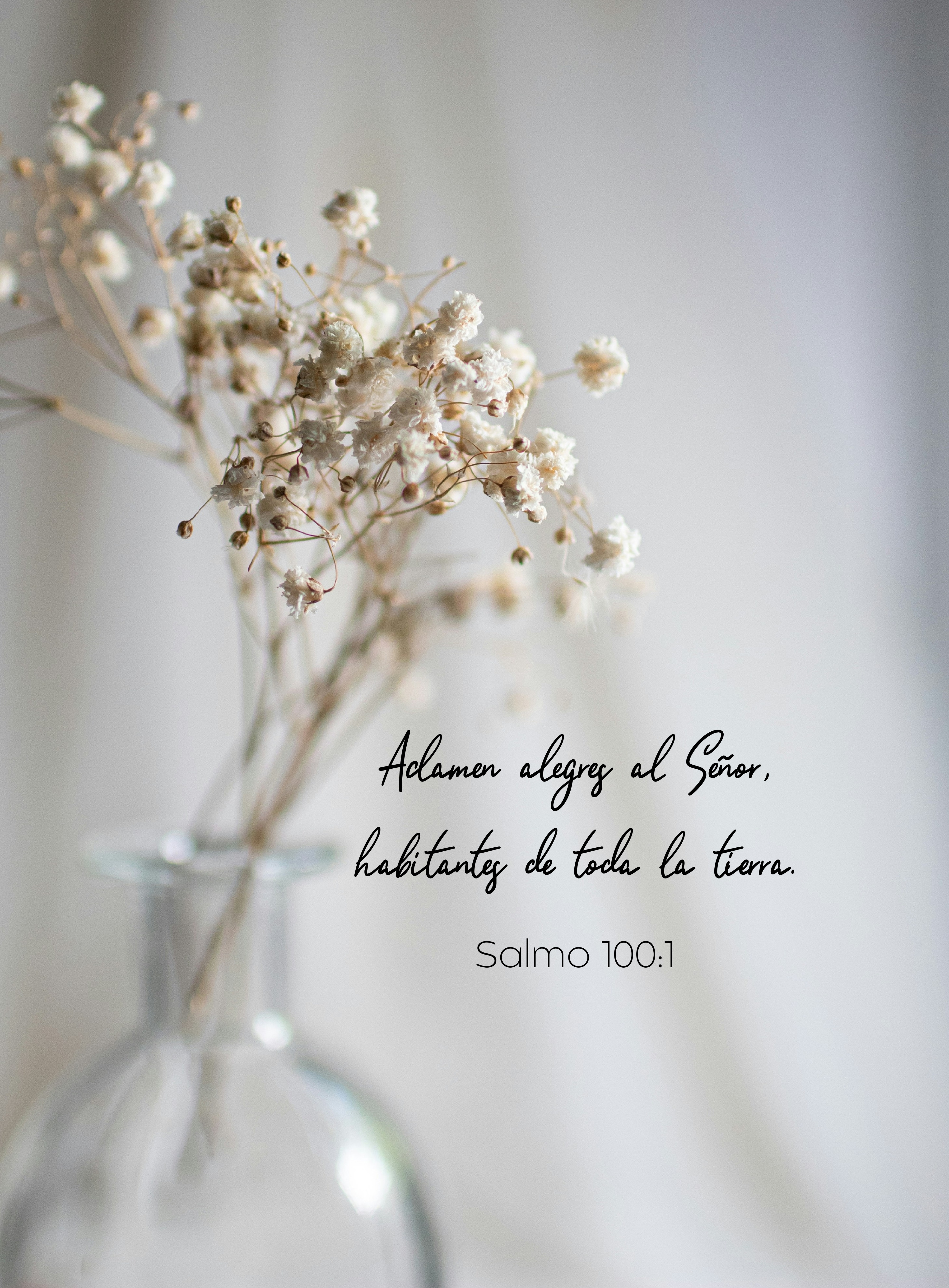 "Aclamen alegres al Señor"