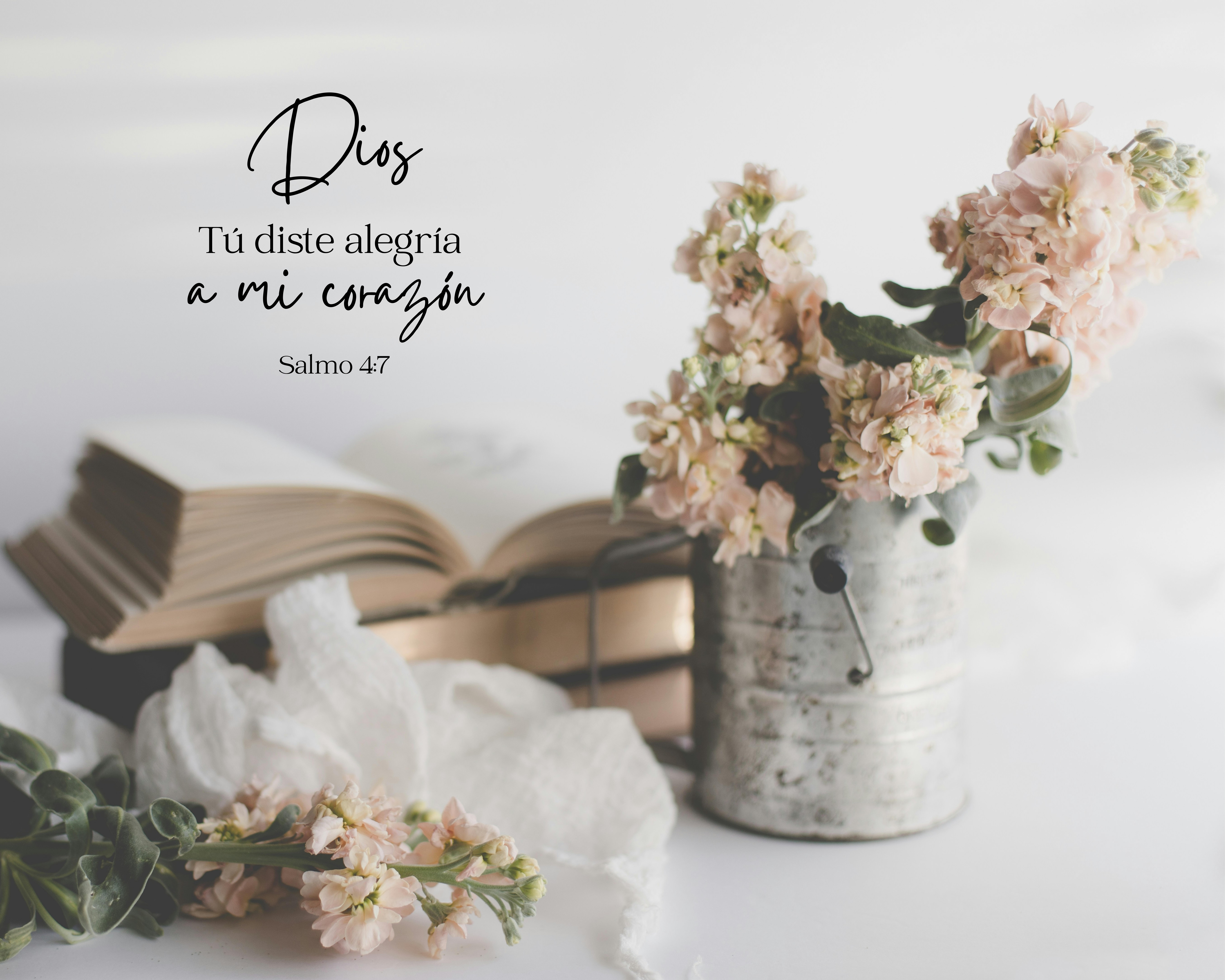 "Dios tu diste alegría a mi corazón"