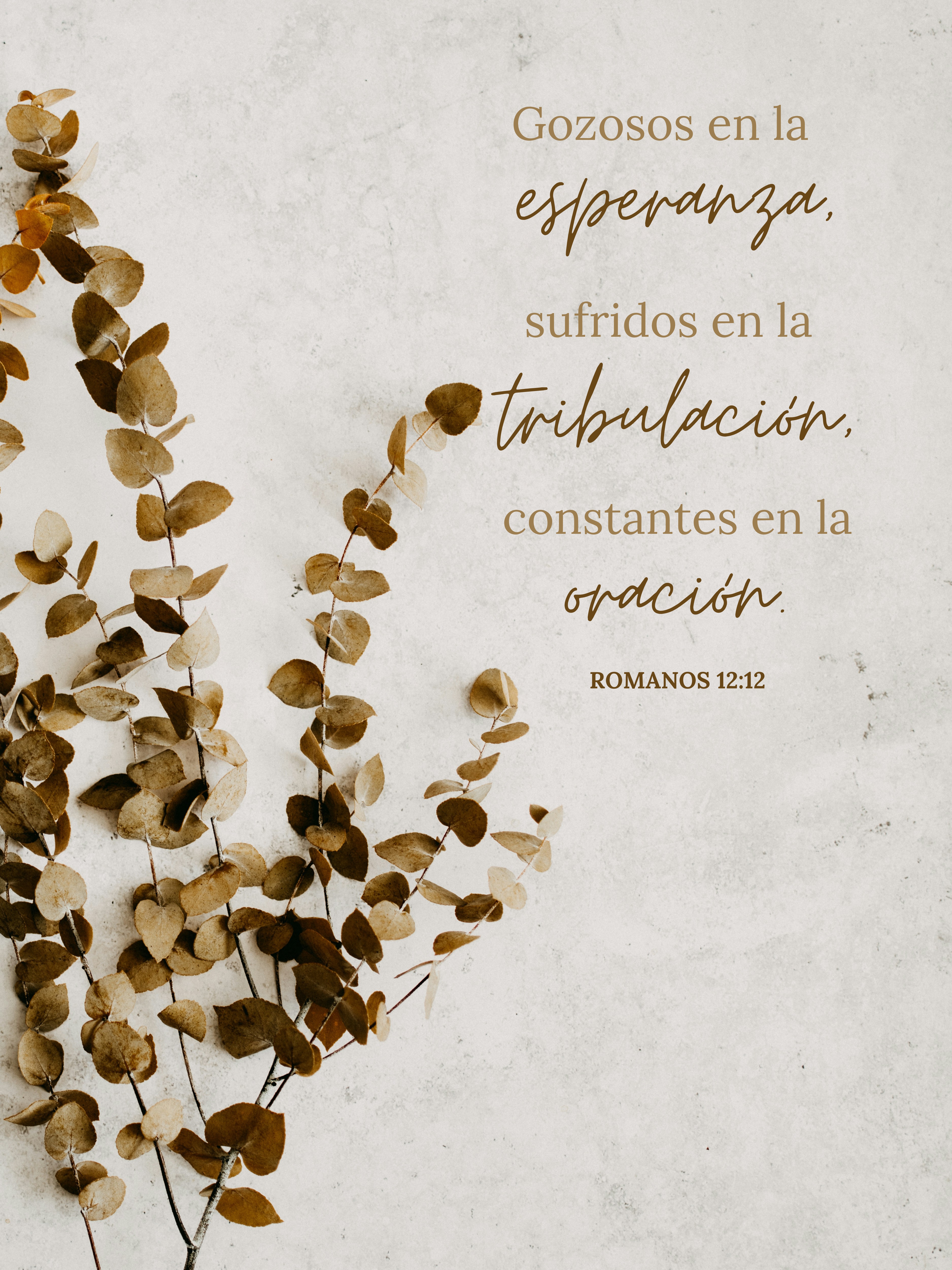 "Gozosos en la esperanza"