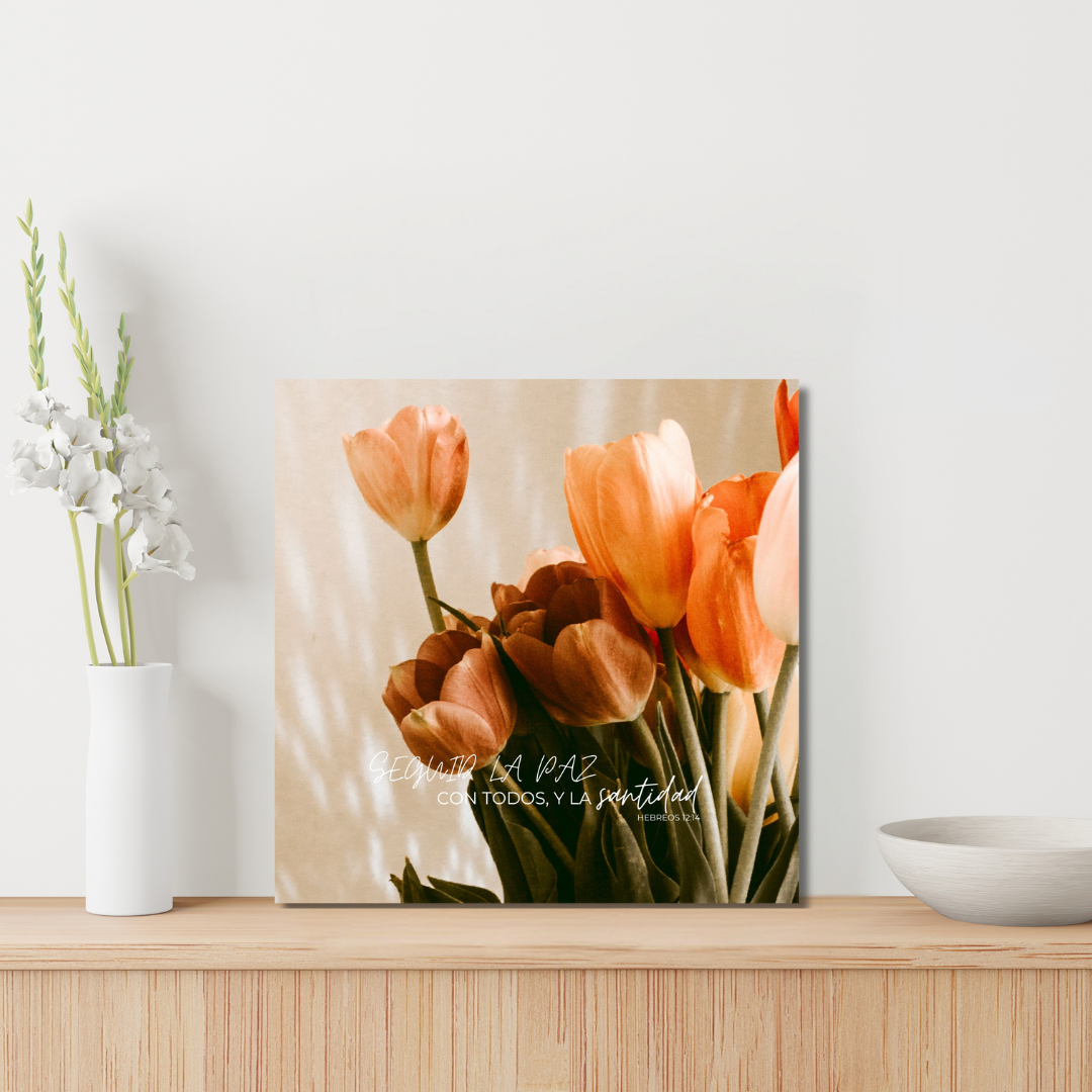 "Seguir la paz con todos, y la santidad"