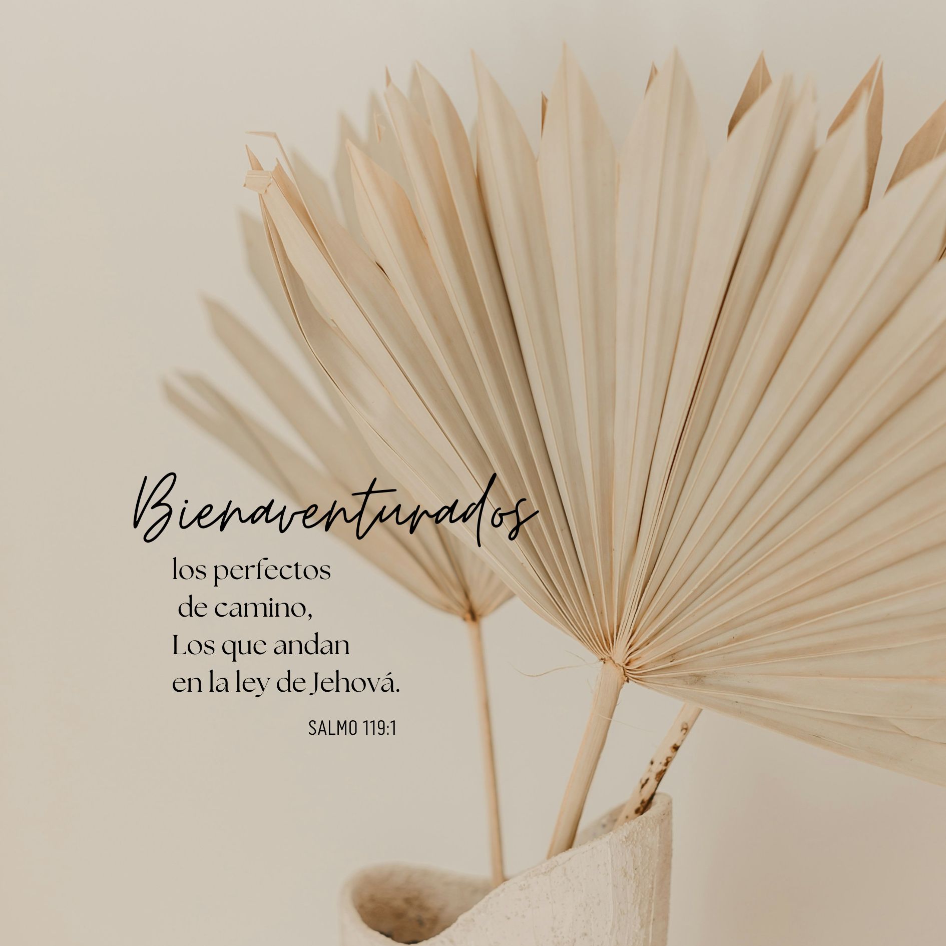 "Bienaventurados los perfectos de camino"