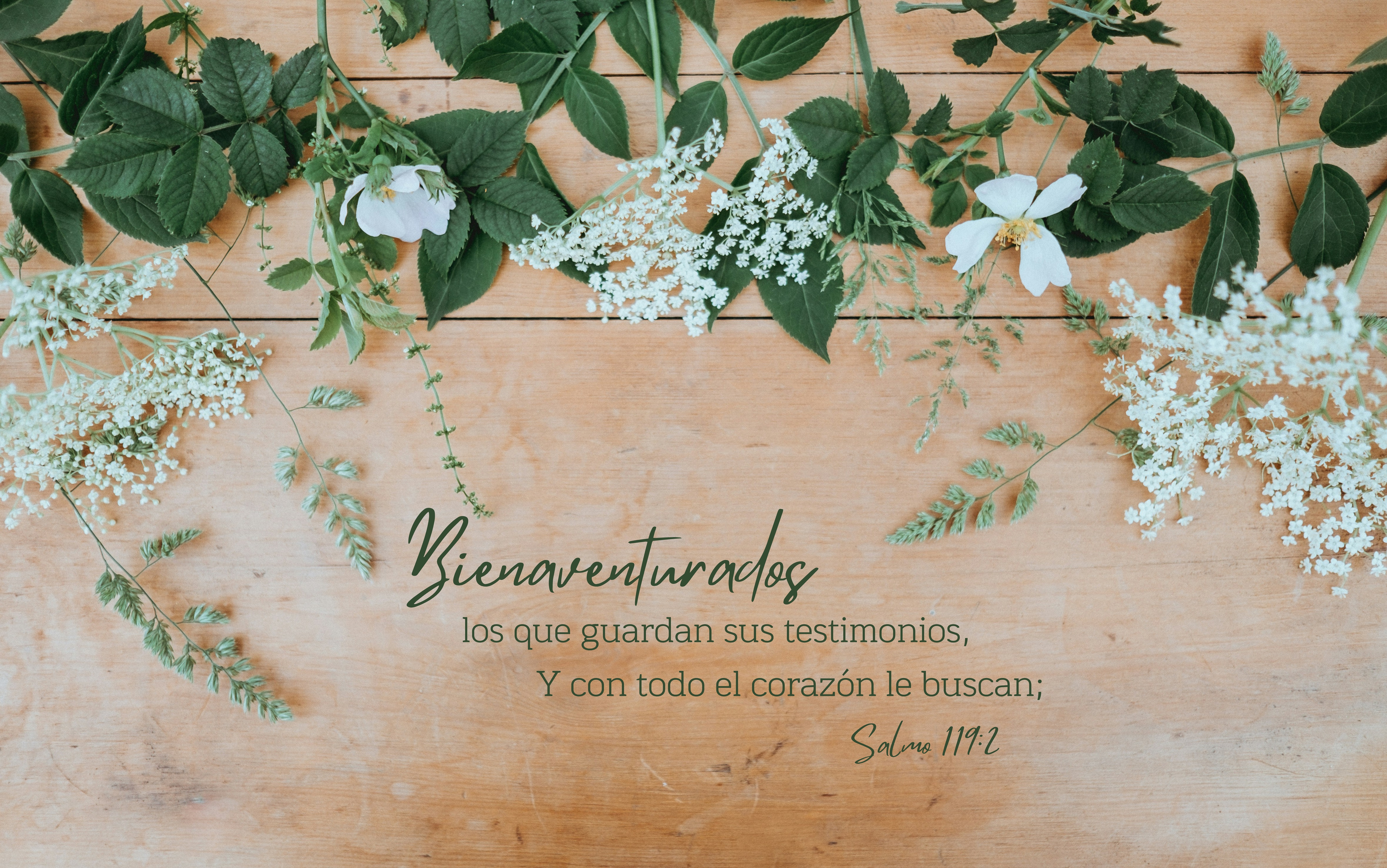 "Y con todo el corazón le buscan"