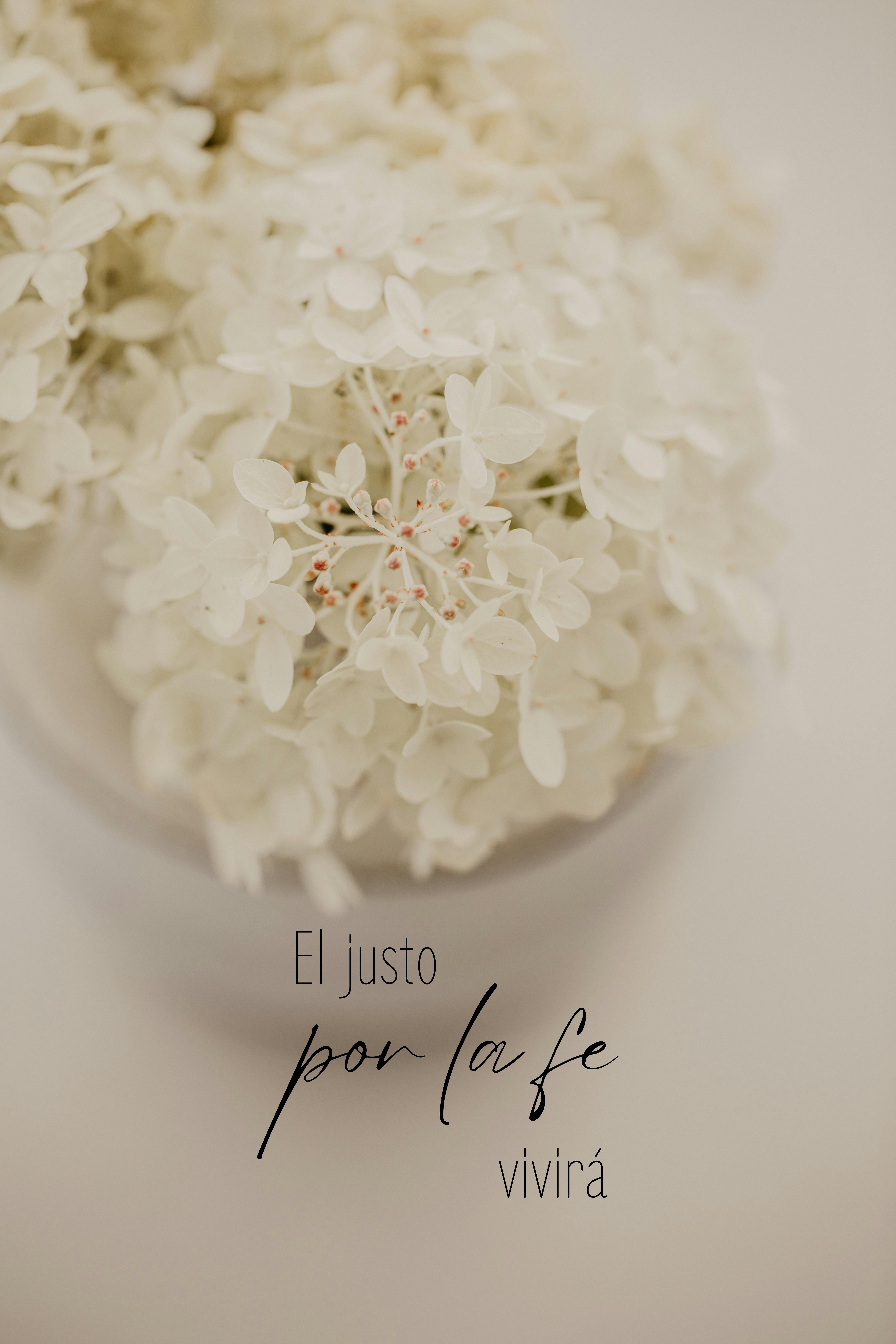 "El justo por la fe vivirá"