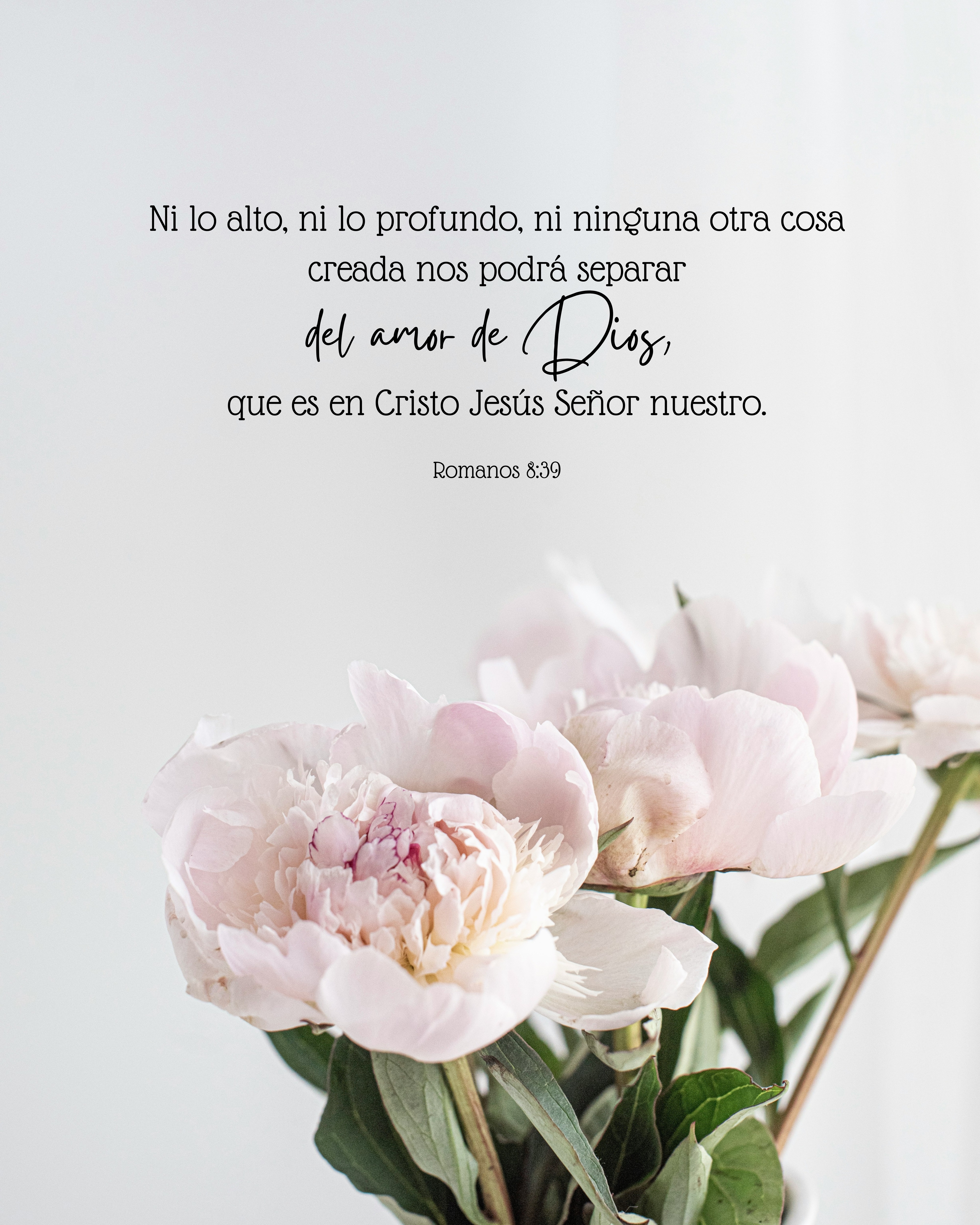 "Nos podrá separar del amor de Dios"