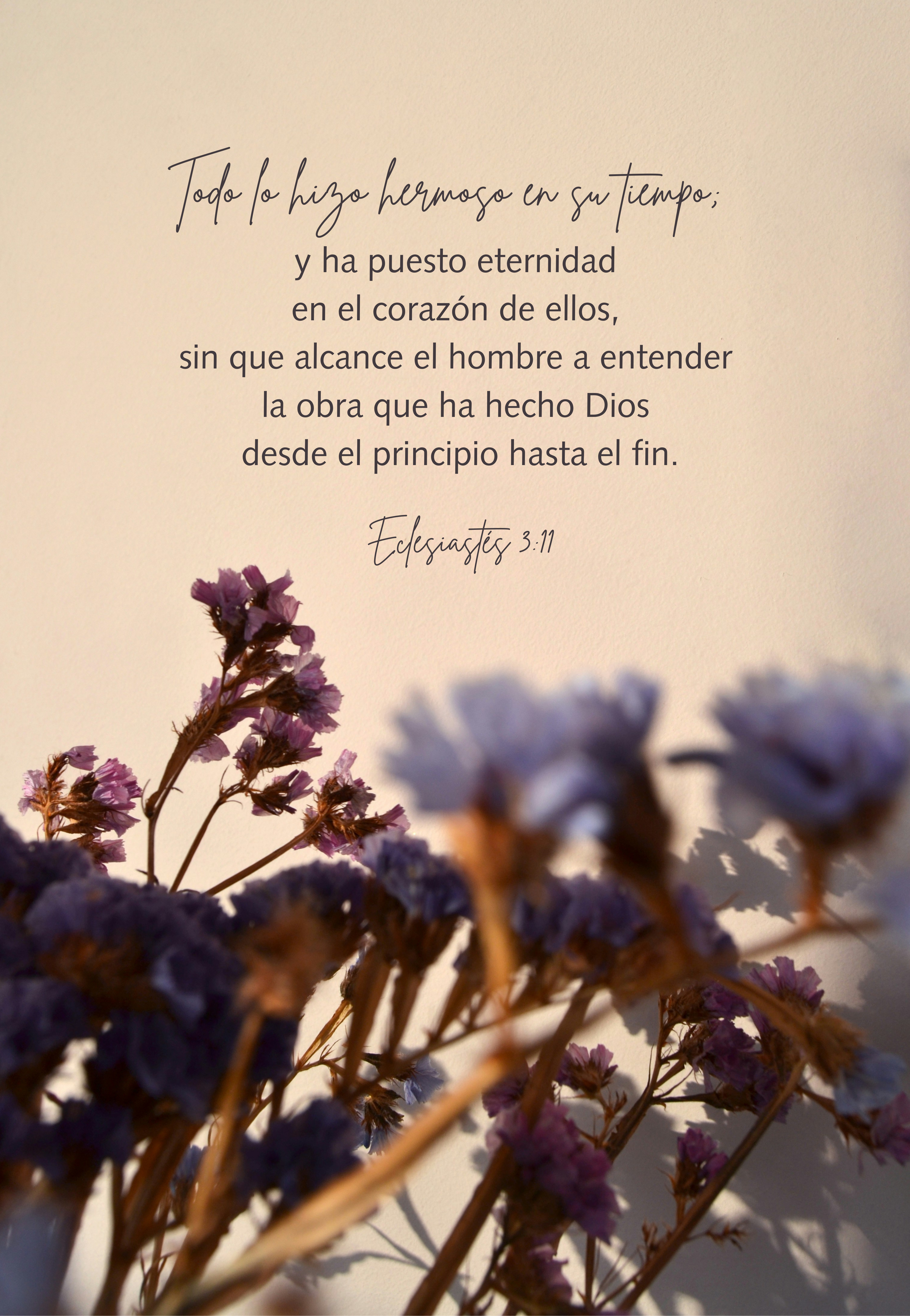 "Todo lo hizo hermoso en su tiempo"