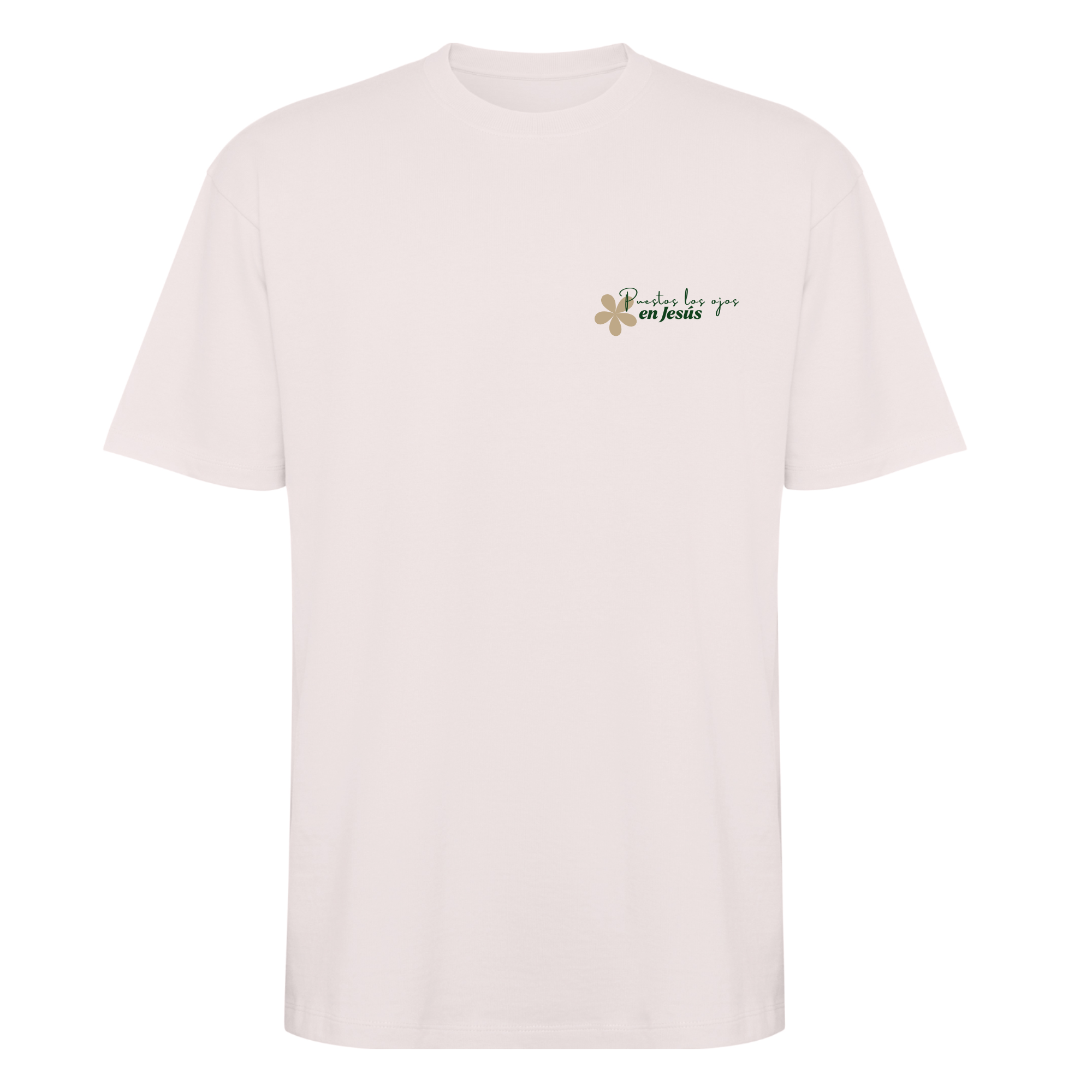 "Puestos los ojos en Jesús"