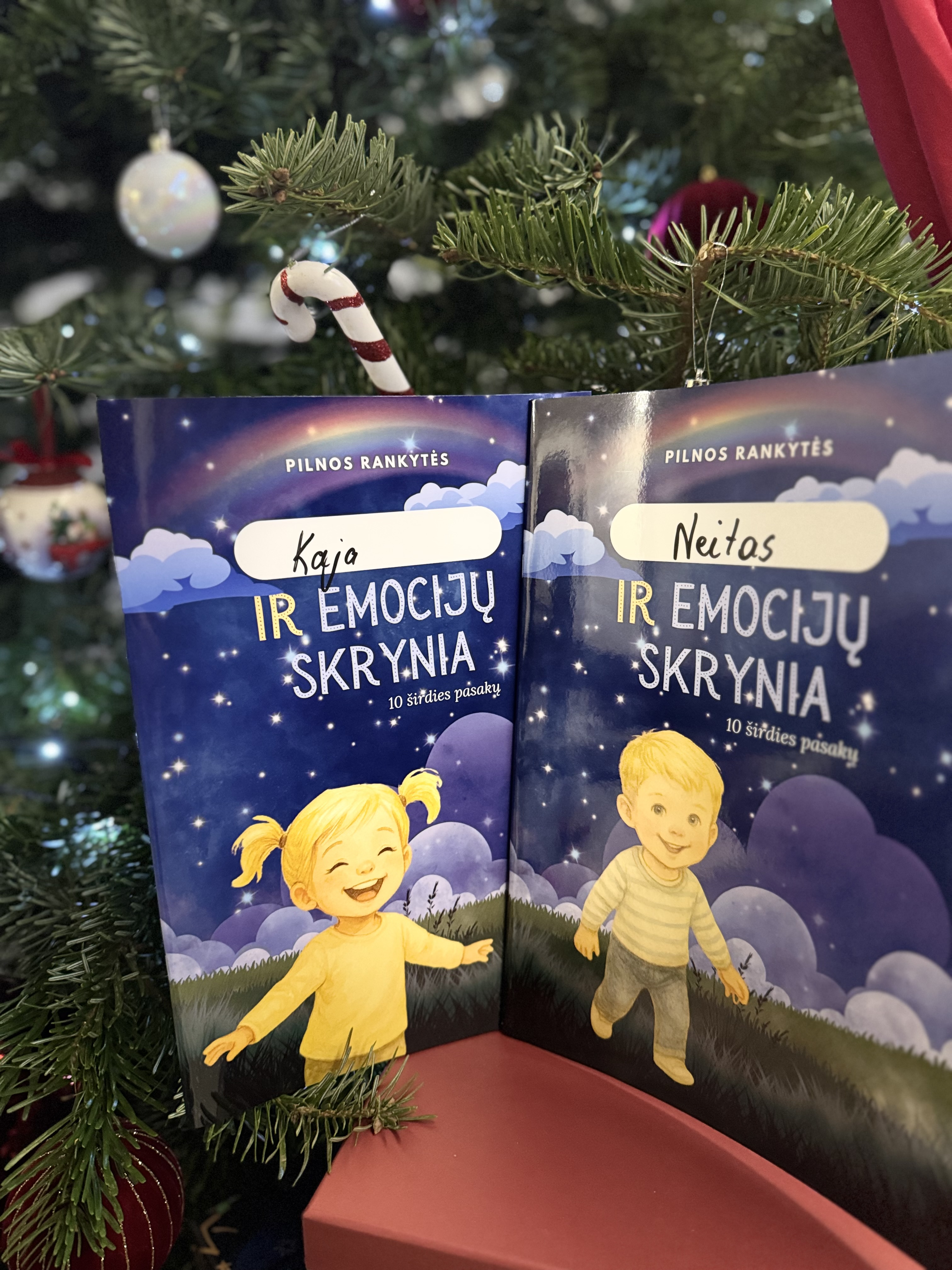 Emocijų pasakų knygelė