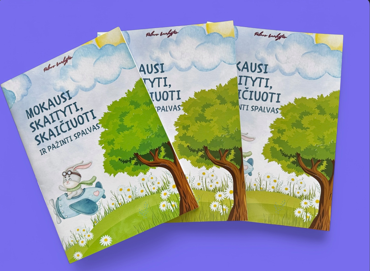 MOKAUSI SKAITYTI, SKAIČIUOTI IR PAŽINTI SPALVAS su velcro lipdukais