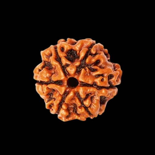Rudraksha Bead