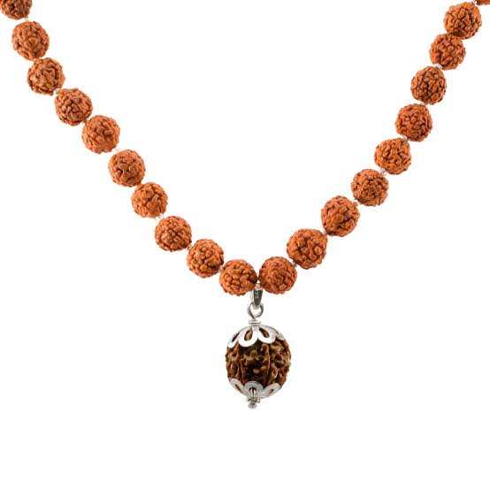 Siddh Rudraksha Mala