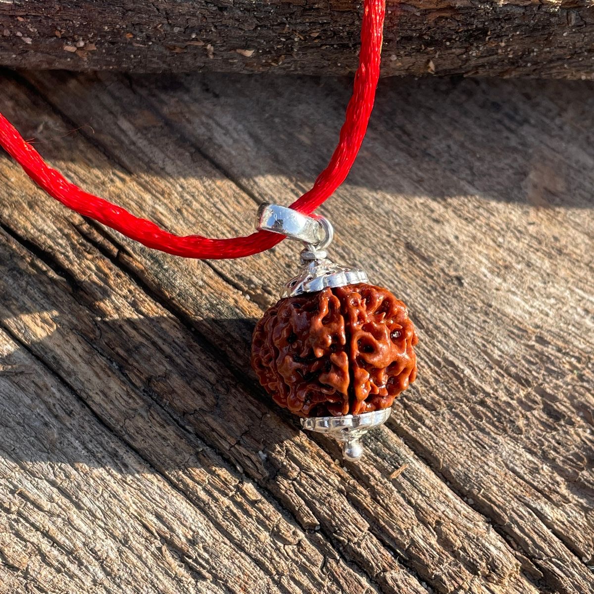 5 Mukhi Rudraksha