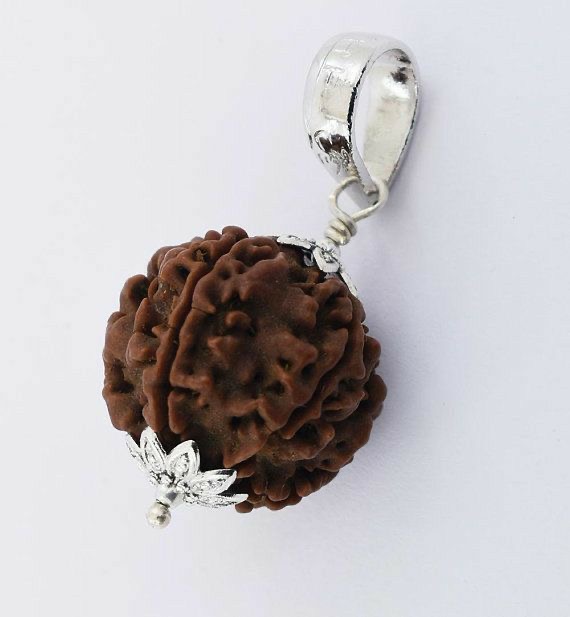 7 Mukhi (face) Rudraksha Pendant with Silver cap