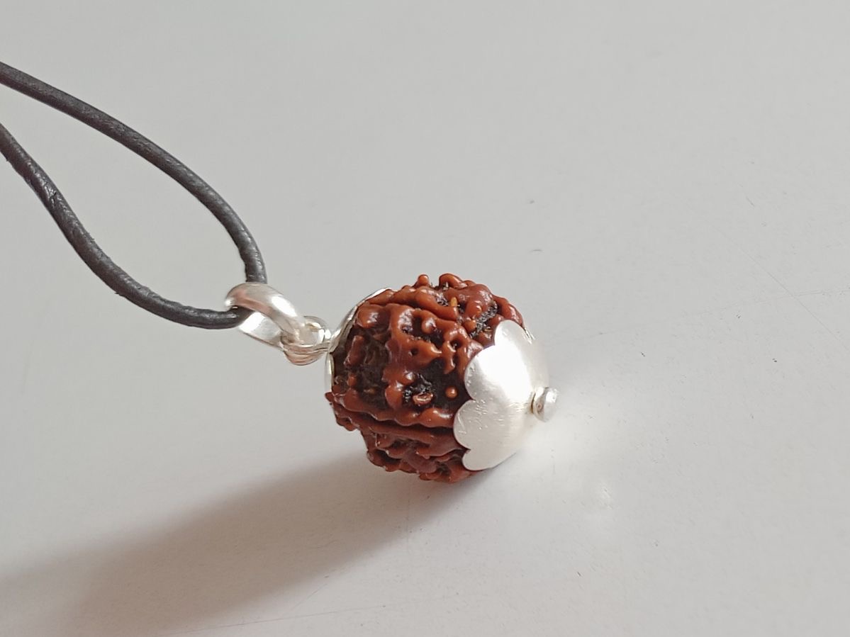 7 Mukhi (face) Rudraksha Pendant with Silver cap