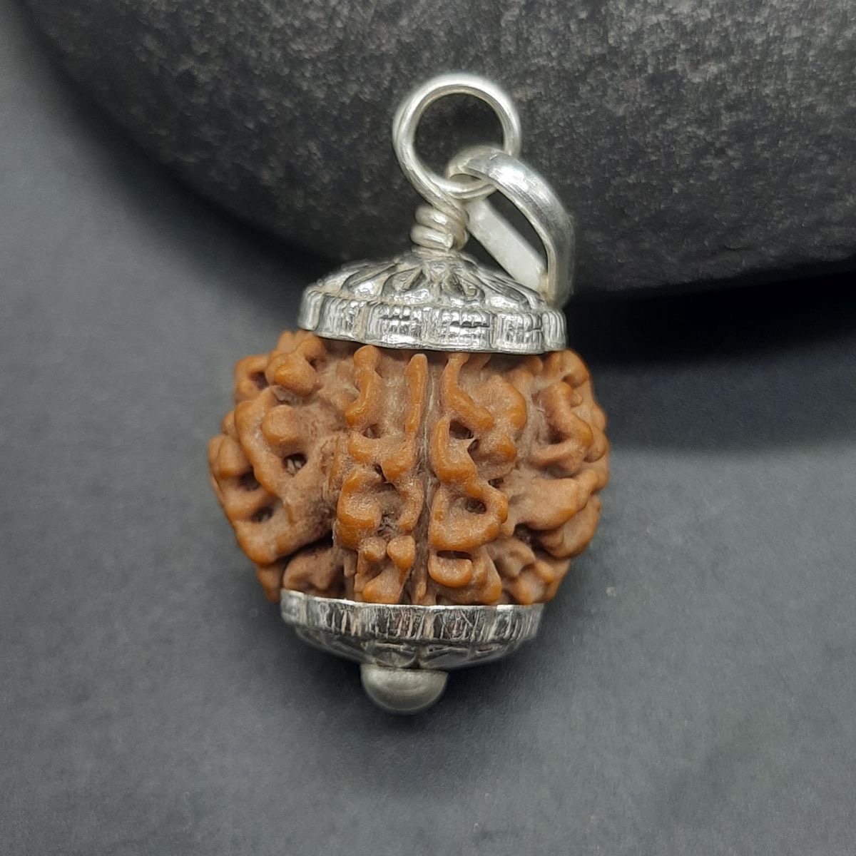 7 Mukhi (face) Rudraksha Pendant with Silver cap