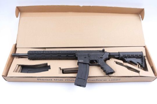 Chiappa M4-22 Pro-Series .22LR Semi-Automatic Rifle