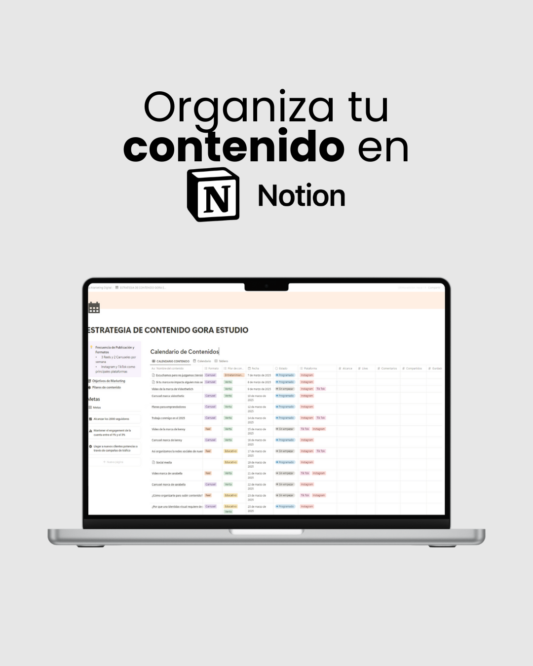 Plantilla Organización Contenido NOTION