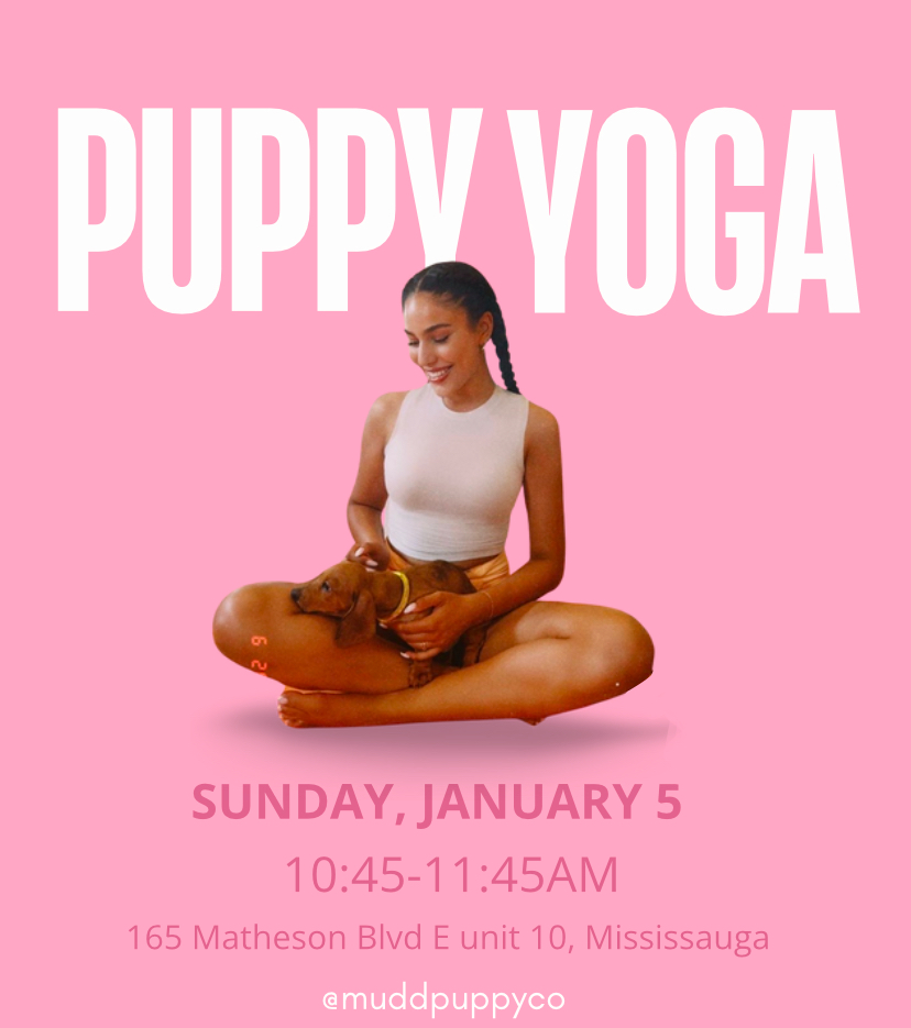 Puppy Yoga Sunday January 5 10:45am