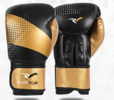 LUVA BOXE PROFISSIONAL CLASSE A2