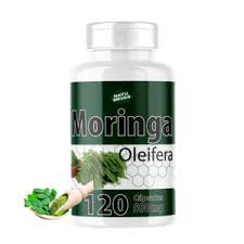 Moringa Oleífera