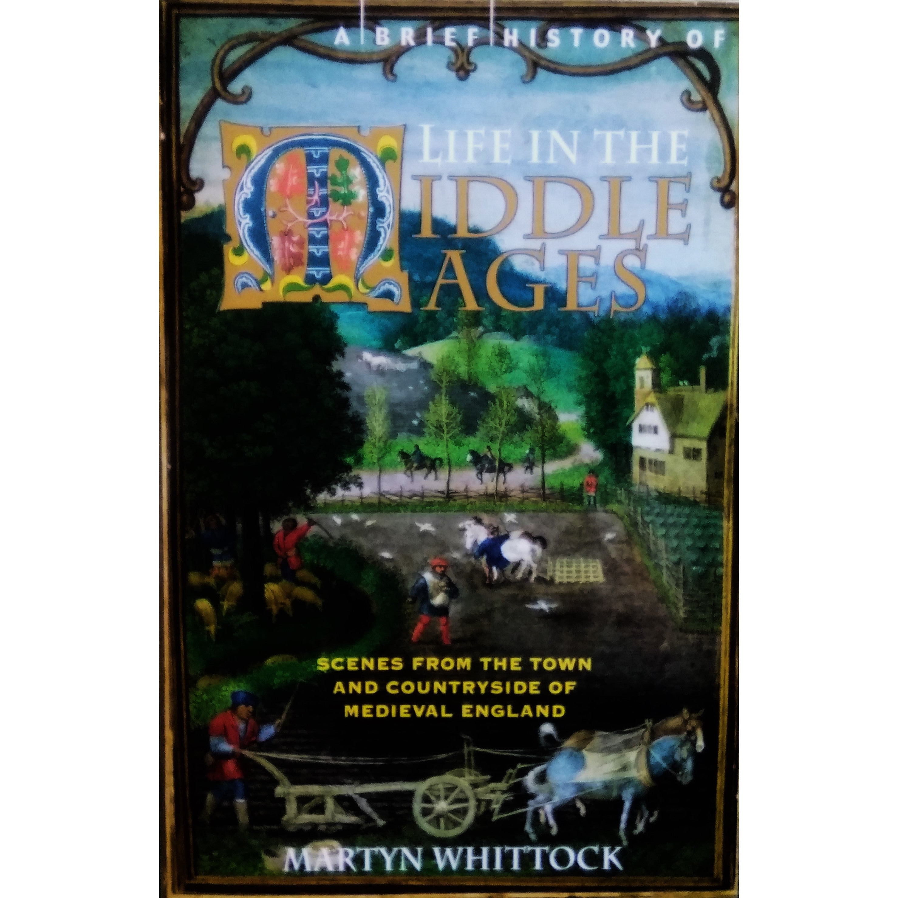 A Brief History of Life in the Middle Ages by Martyn Whittock