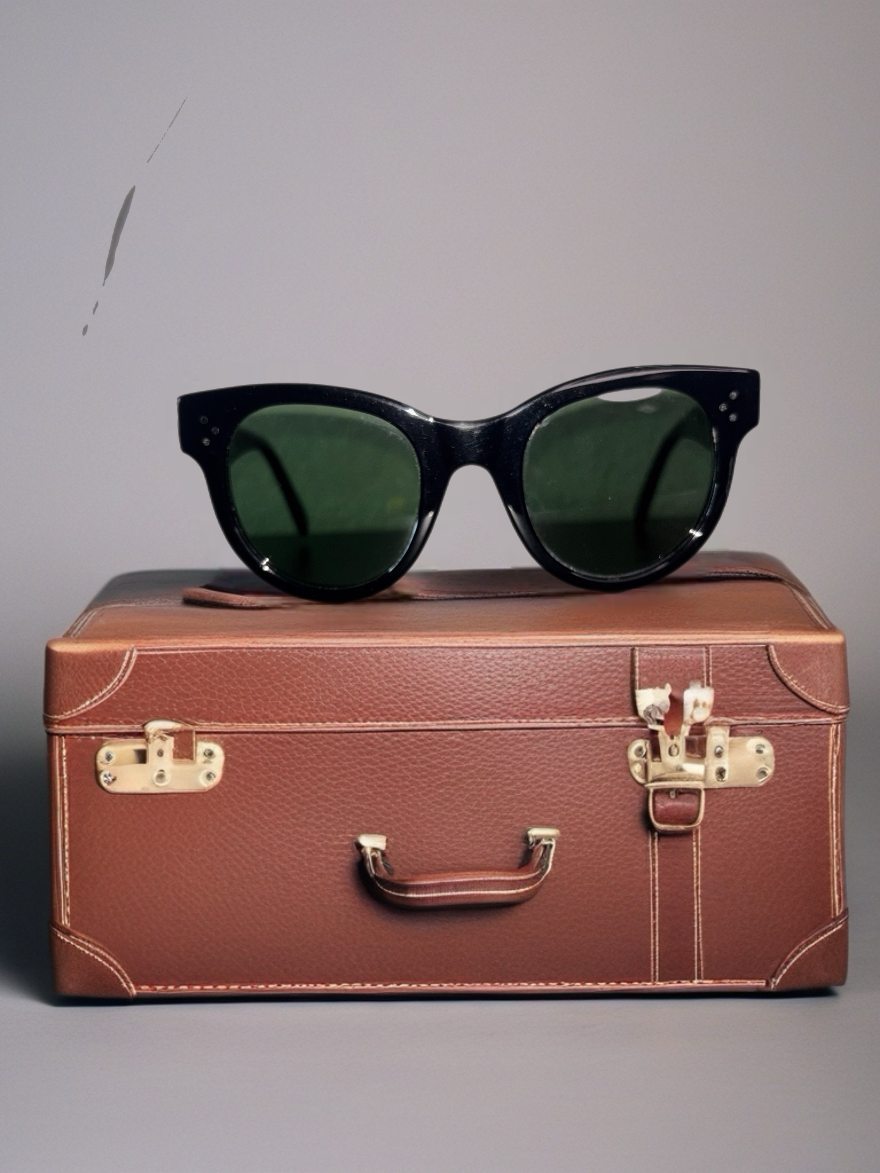 Celine Havana Black Sunglasses Classic Cat-Eye/Glossy Acetate Excellent Conditio