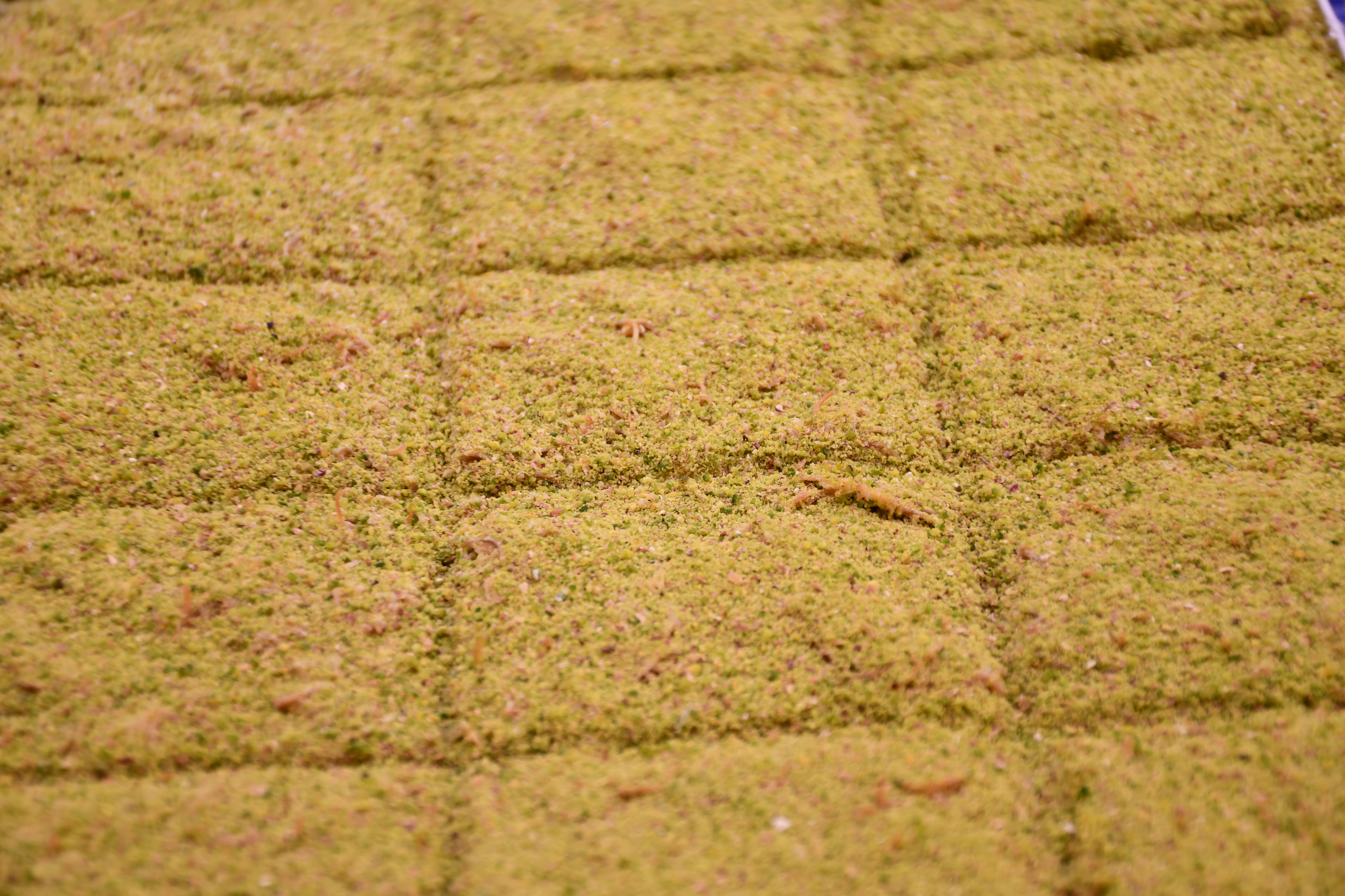 Cold kadayif with pistachio