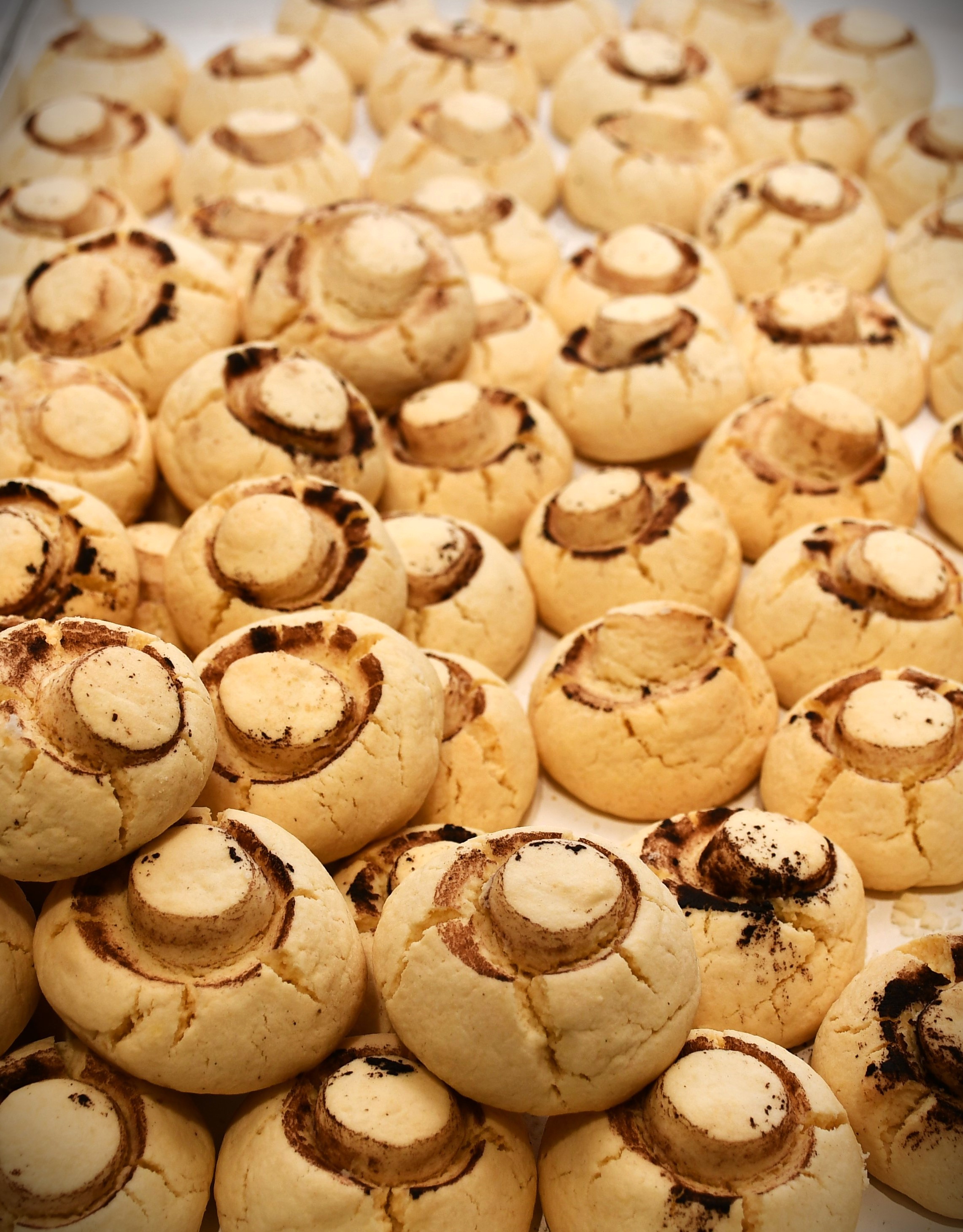 Mushroom Cookies