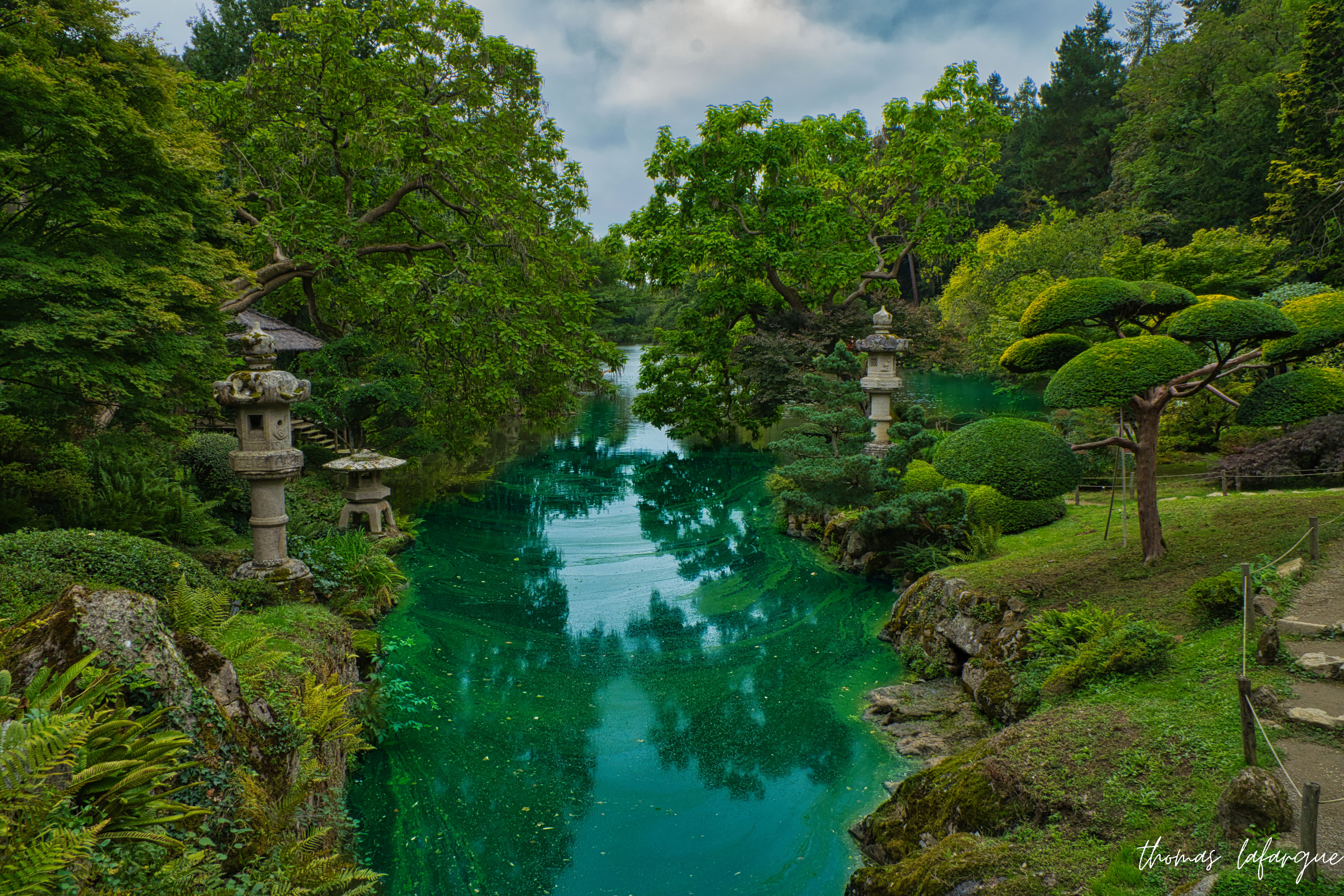 Paysage de jardin japonais