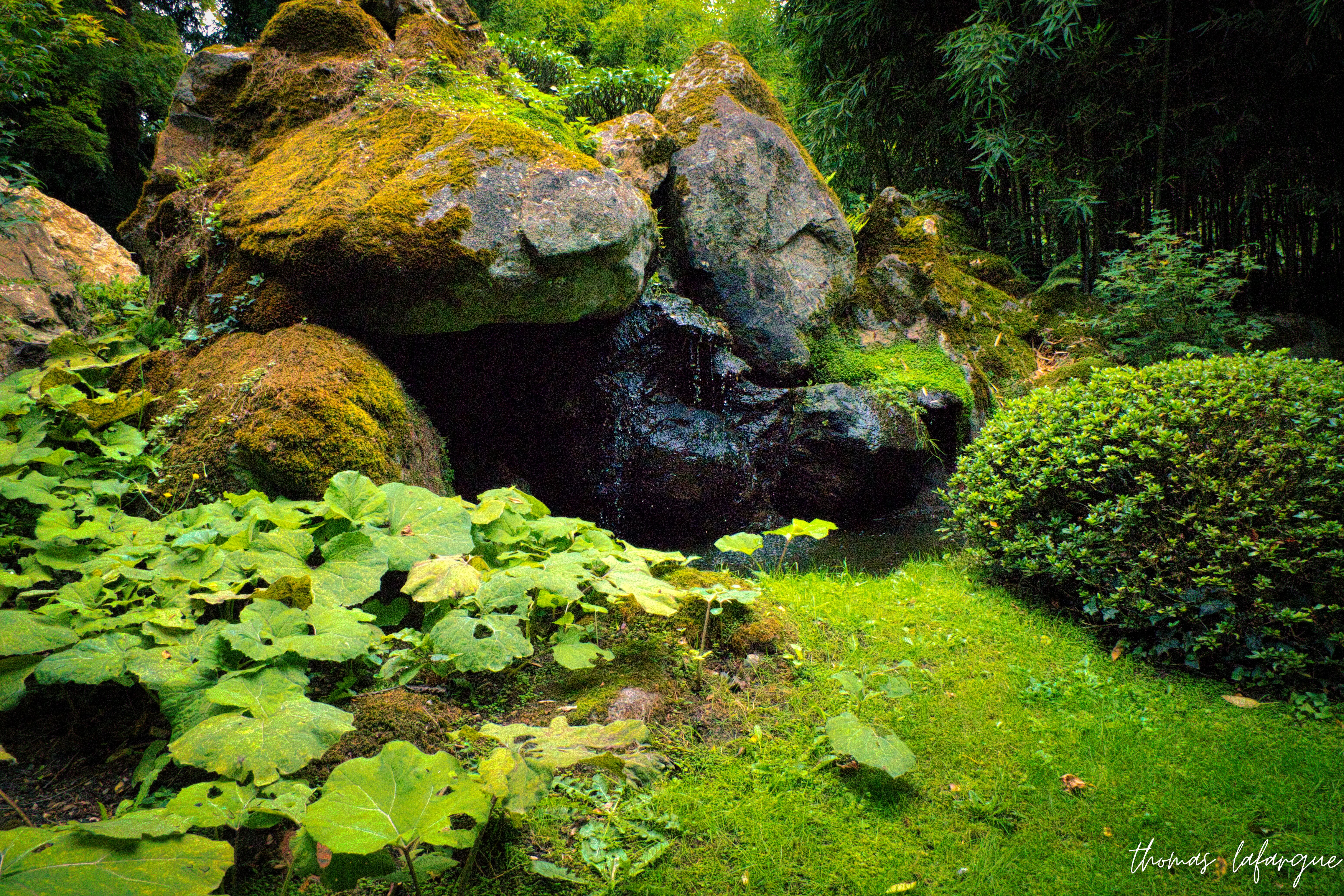 Jardin a Maulévrier 