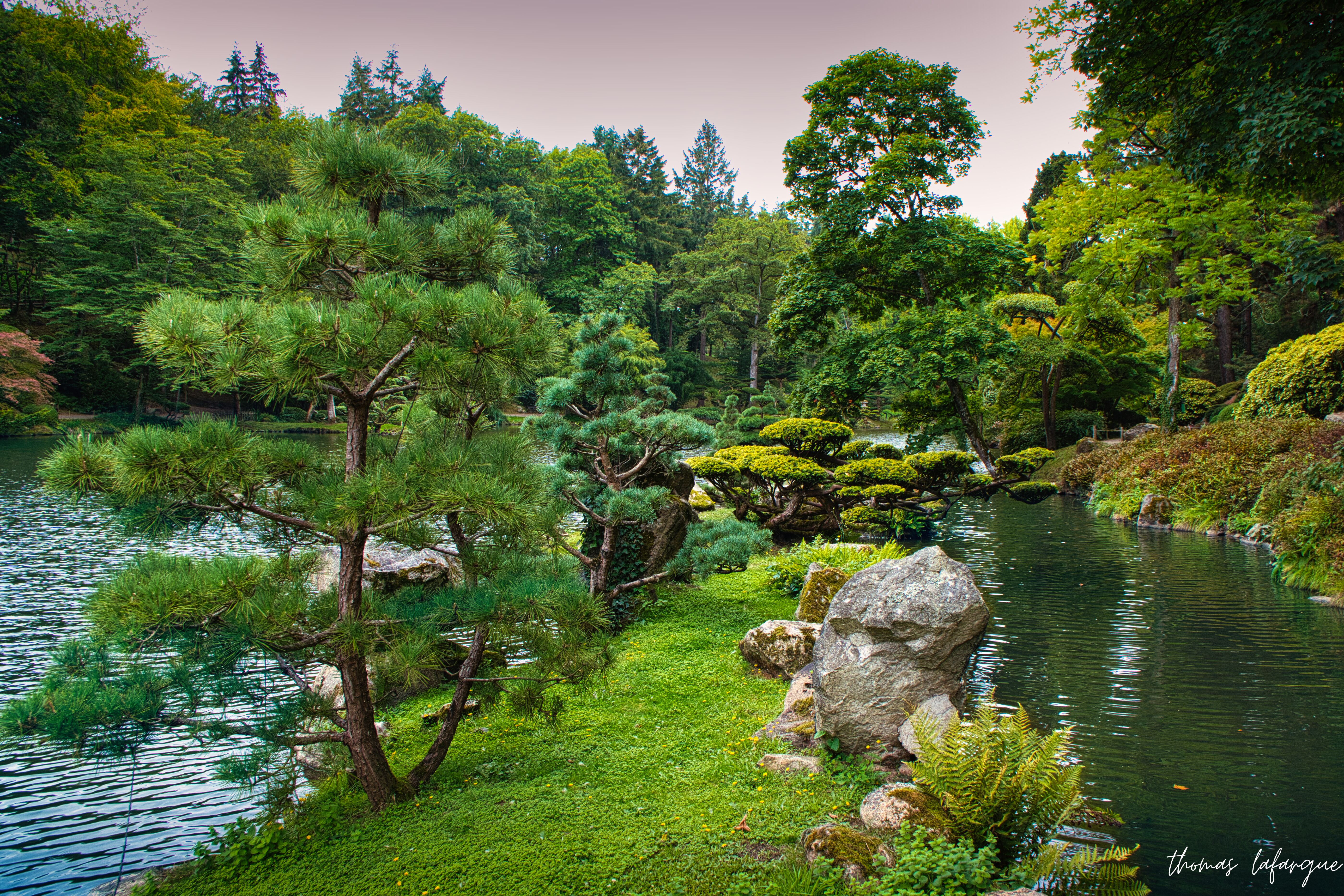 Jardin japonais a Maulévrier 
