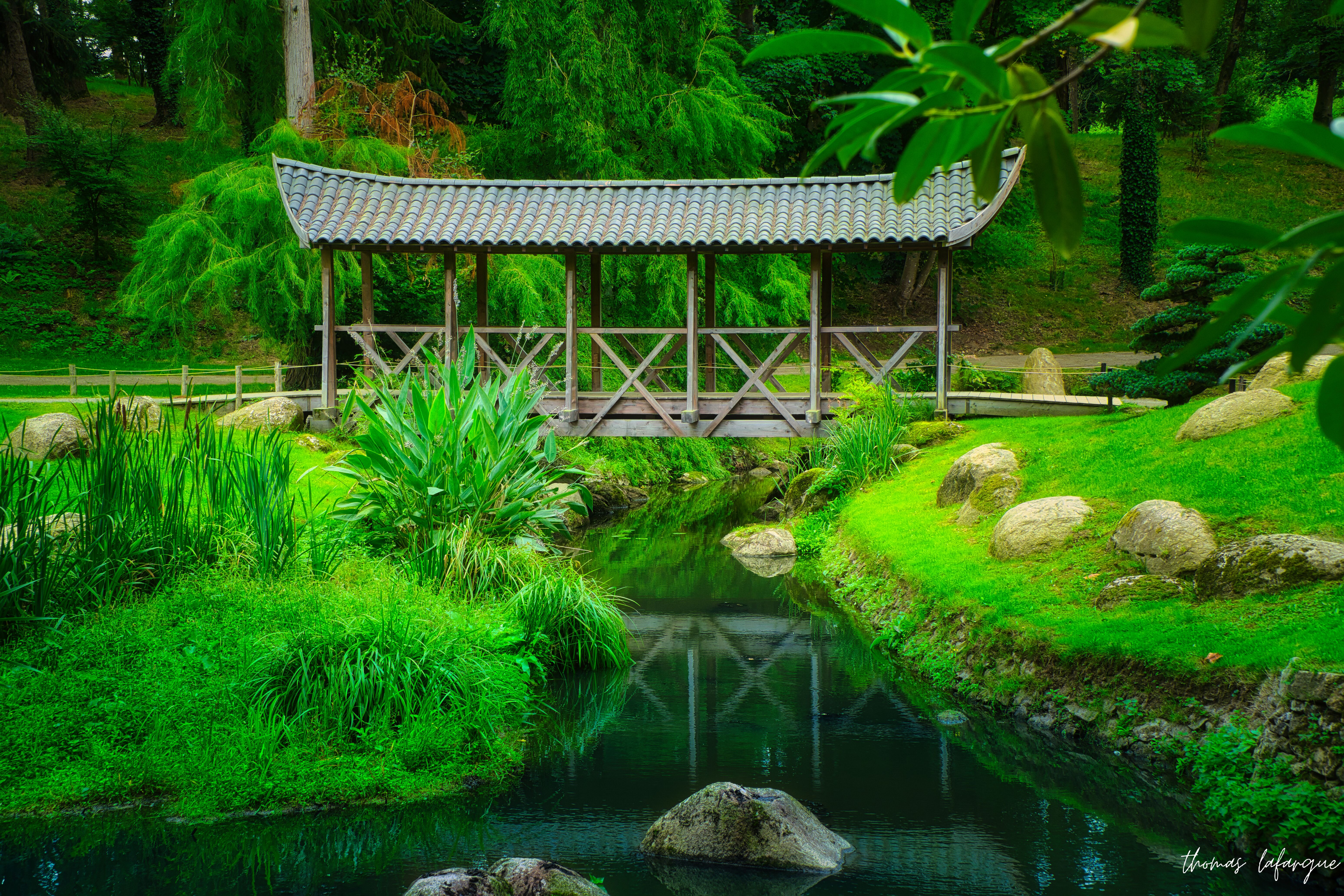 Pont japonais 