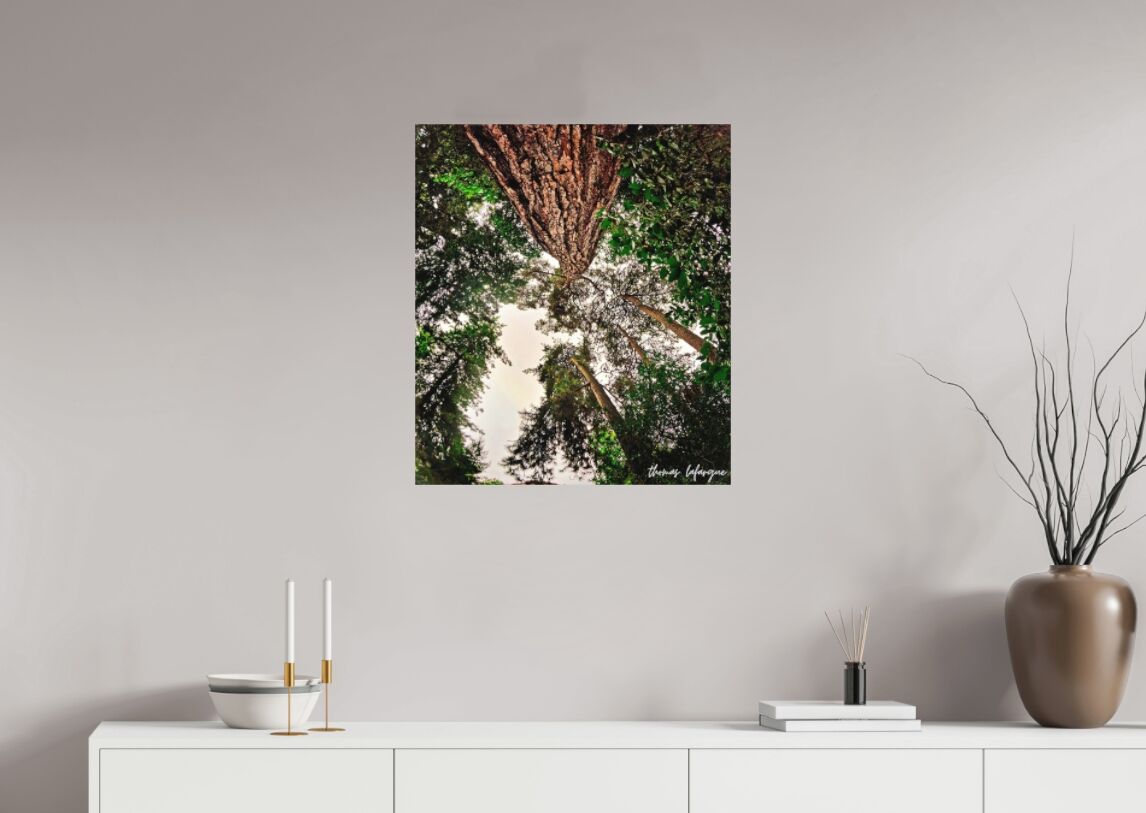 Photo d'arbre majestueux