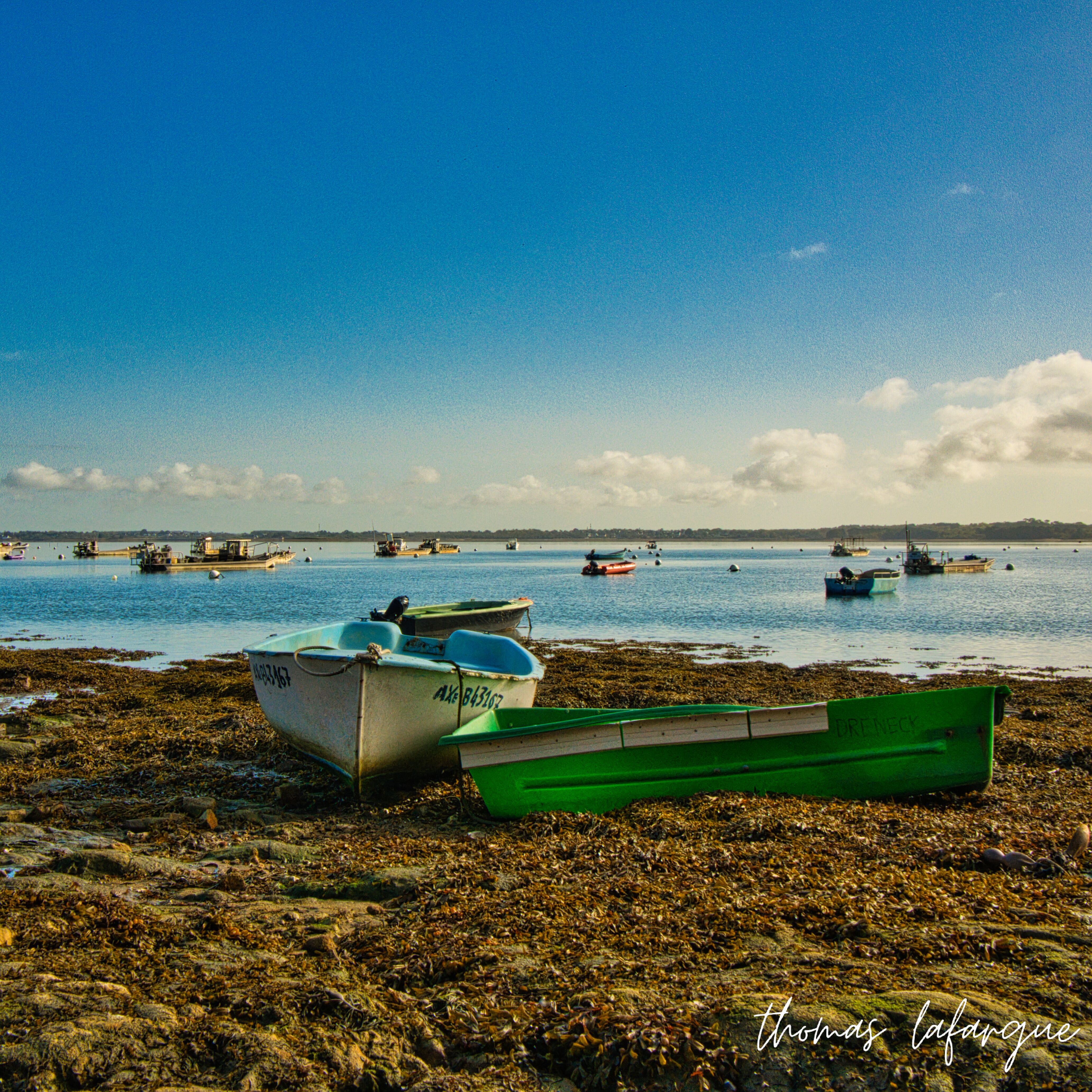 Bateau de pêche