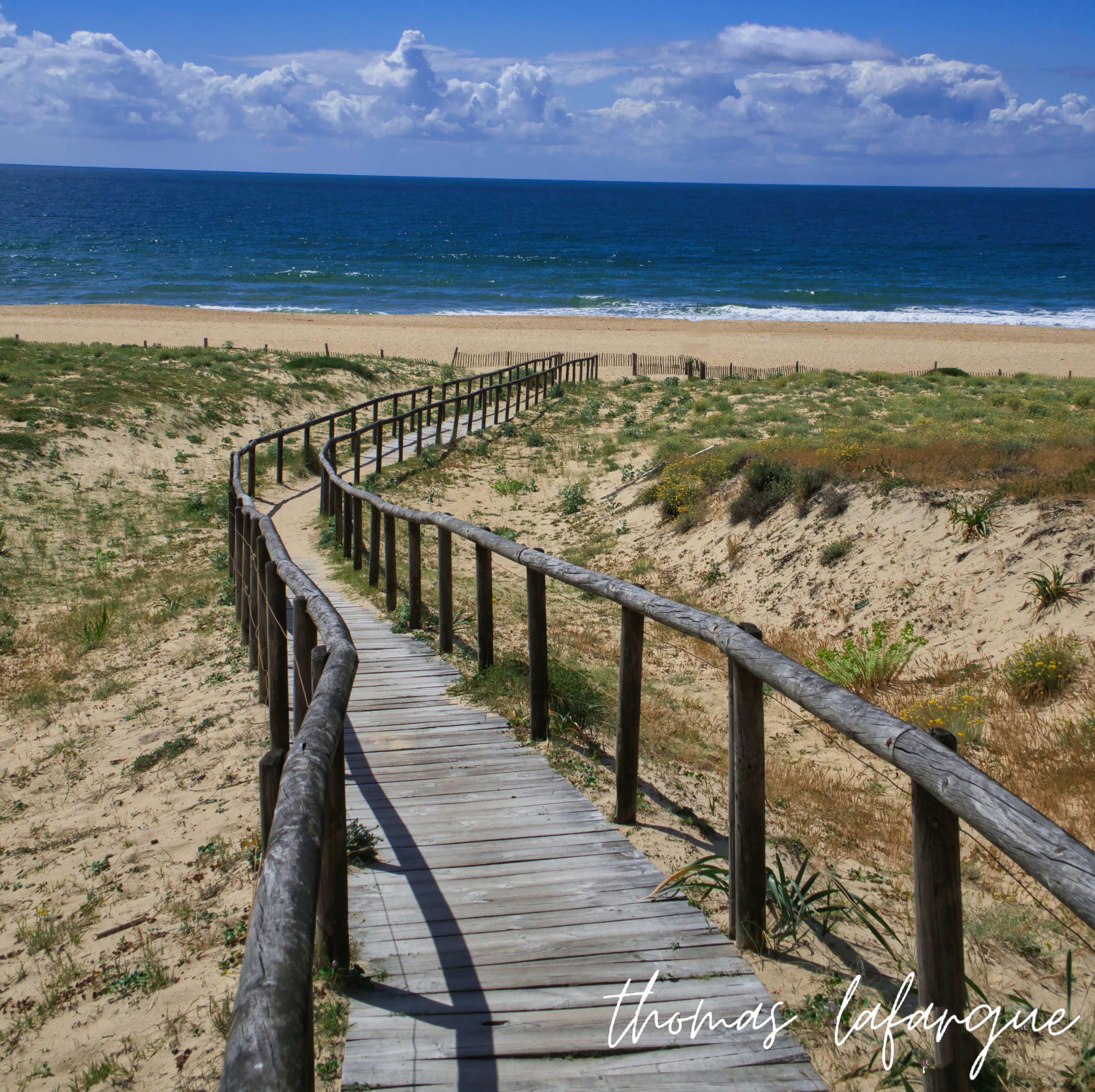 Chemin de promenade en bois
