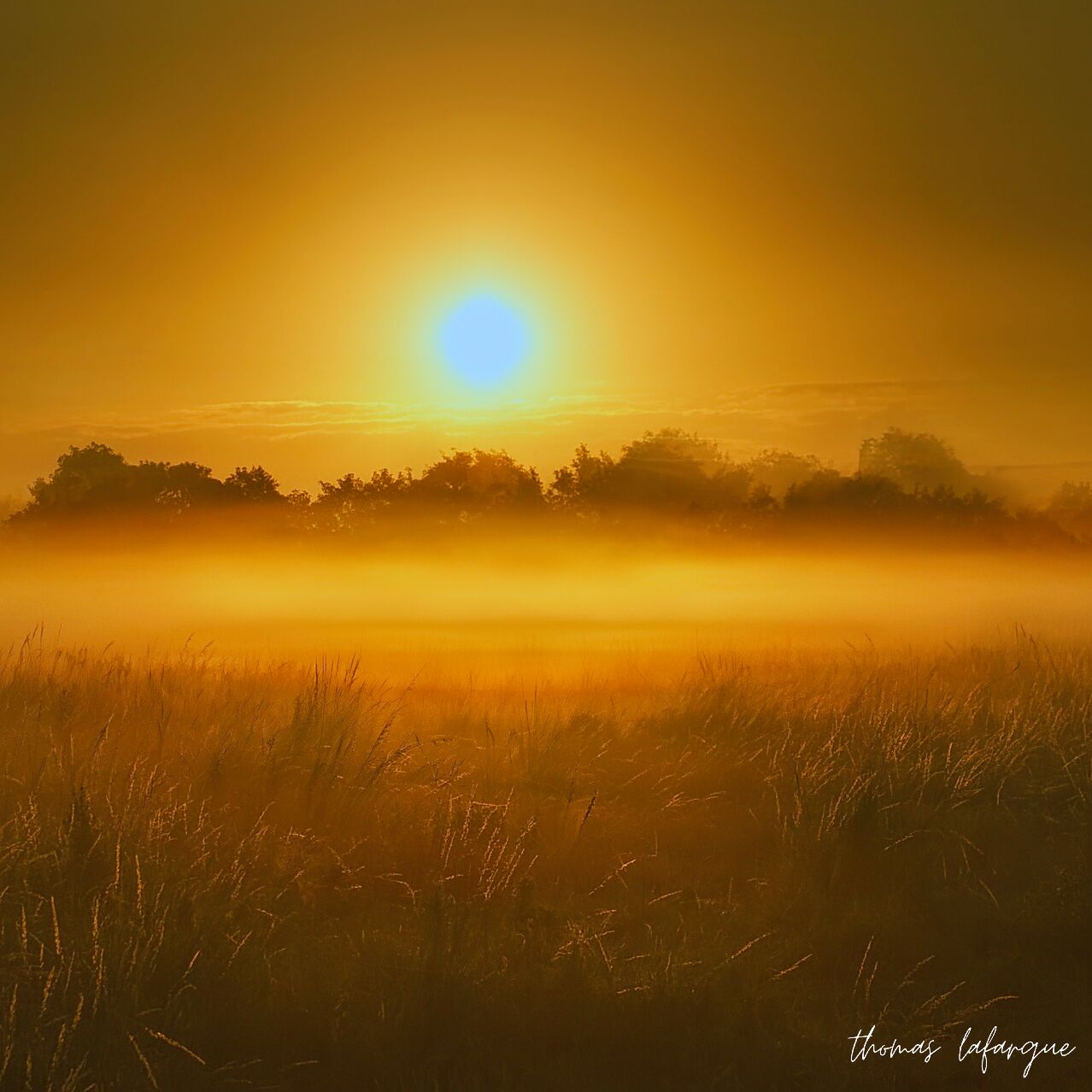 Paysage de lever de soleil