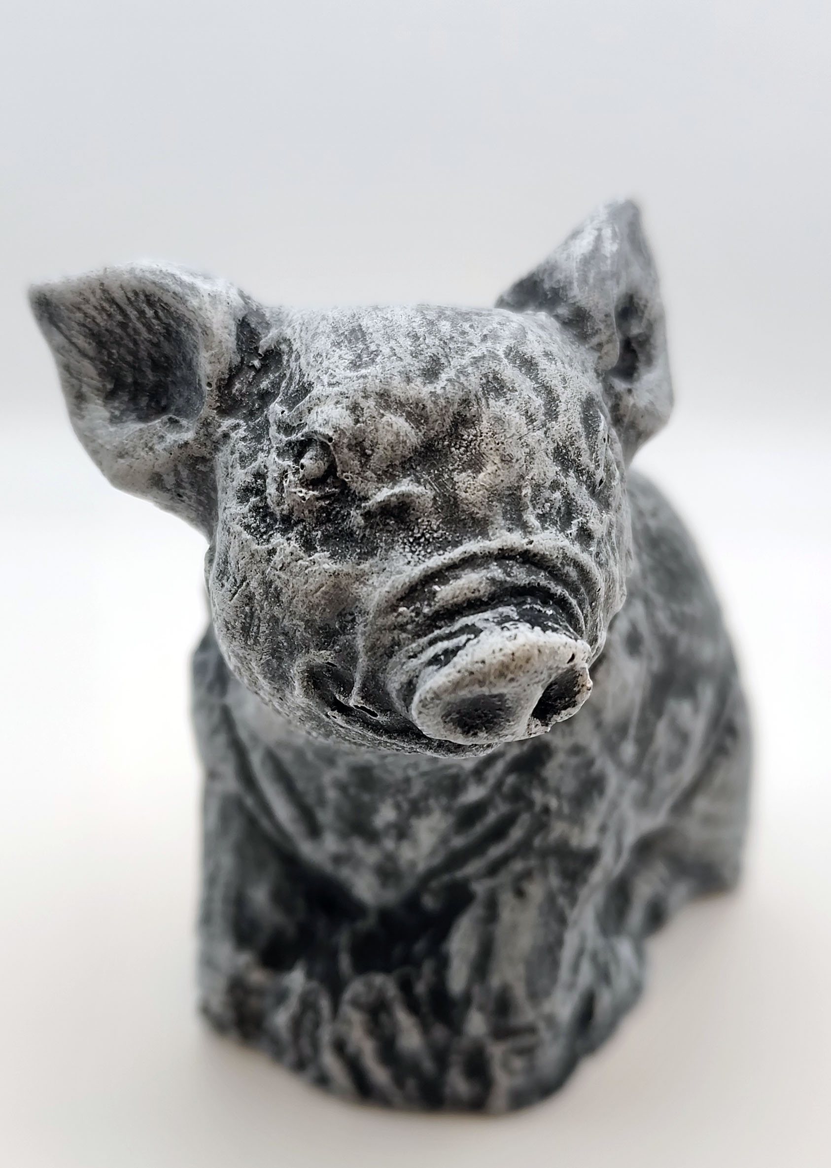 Betoonist väike siga