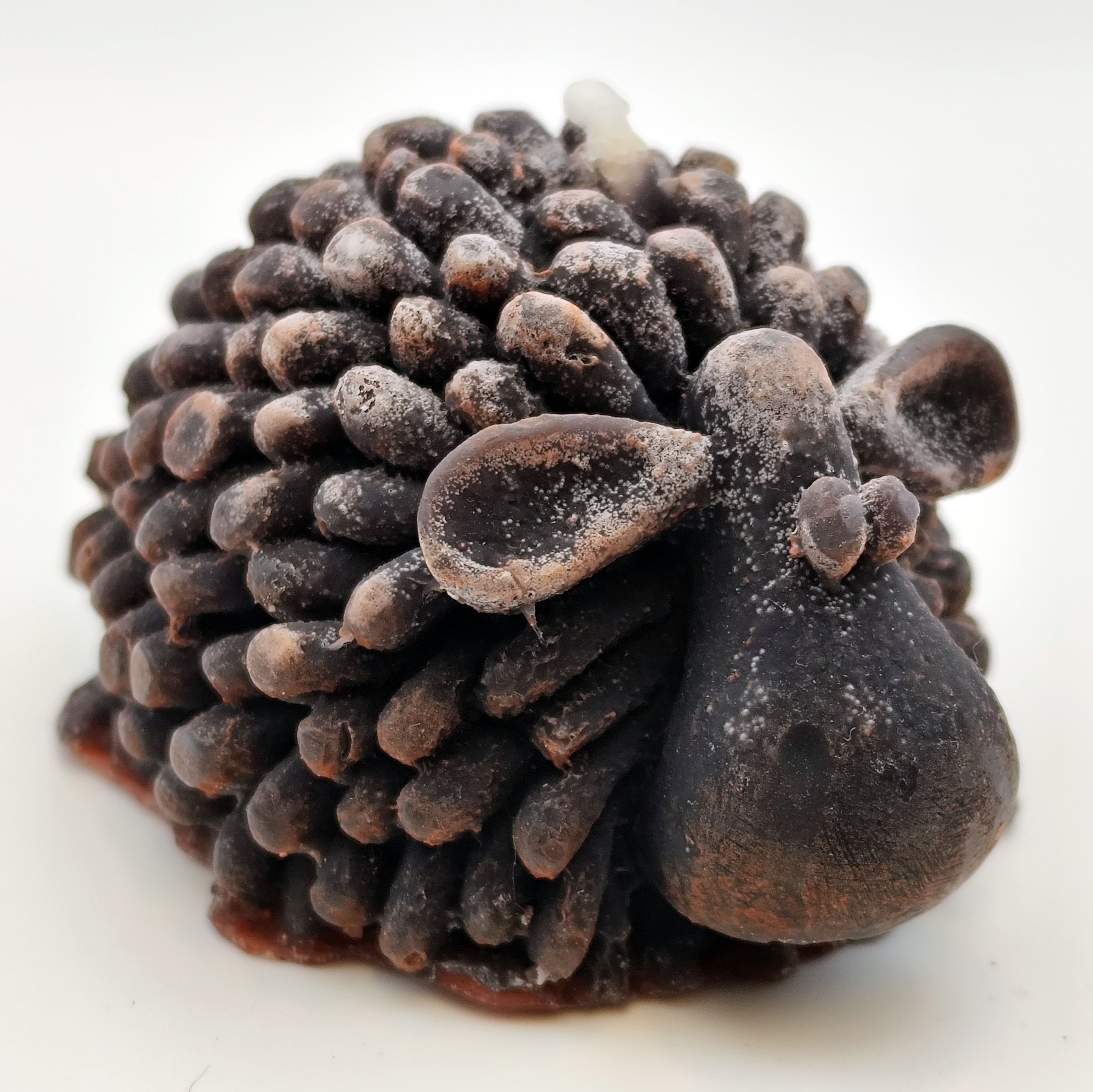 Küünal - Tilluke lammas