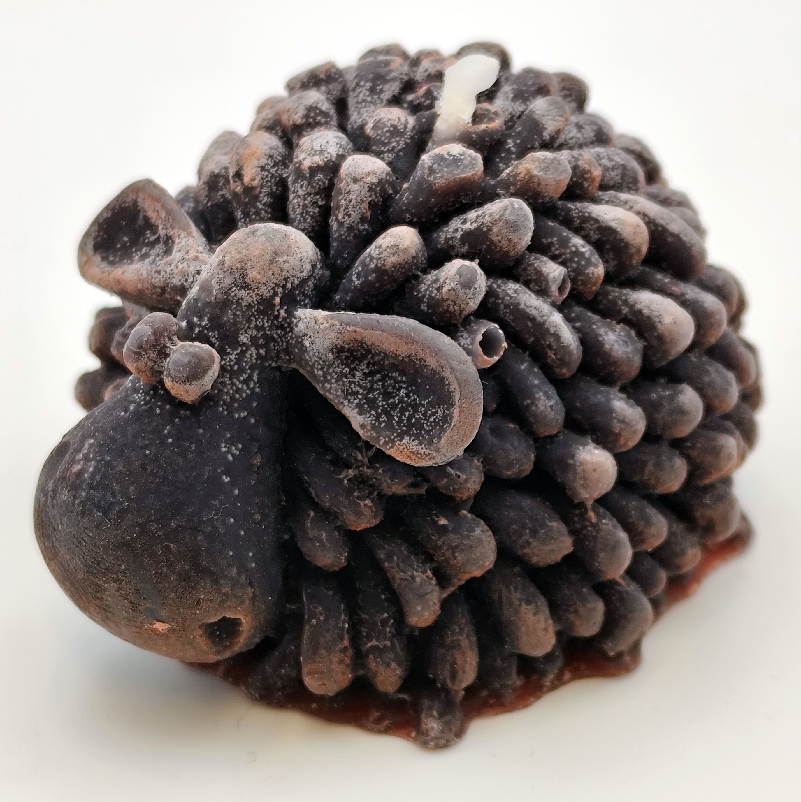 Küünal - Tilluke lammas