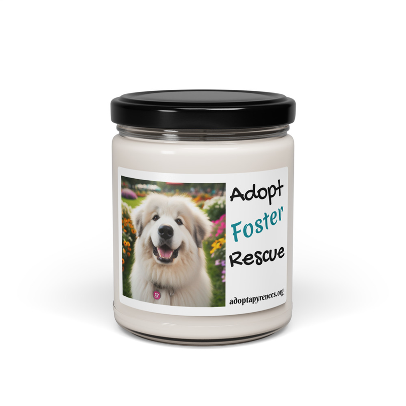 Scented soy candle