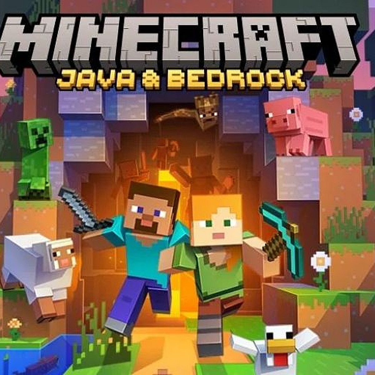 Minecraft Java & Bedrock Edition