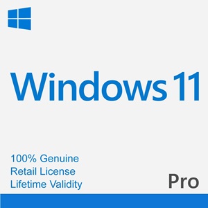 Windows 11 Pro Licence Key 