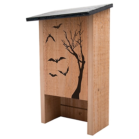 Bat house plans e-file