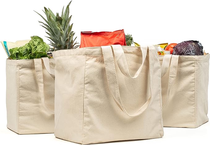 Grocery Shopping Bags (3 Piece Set)