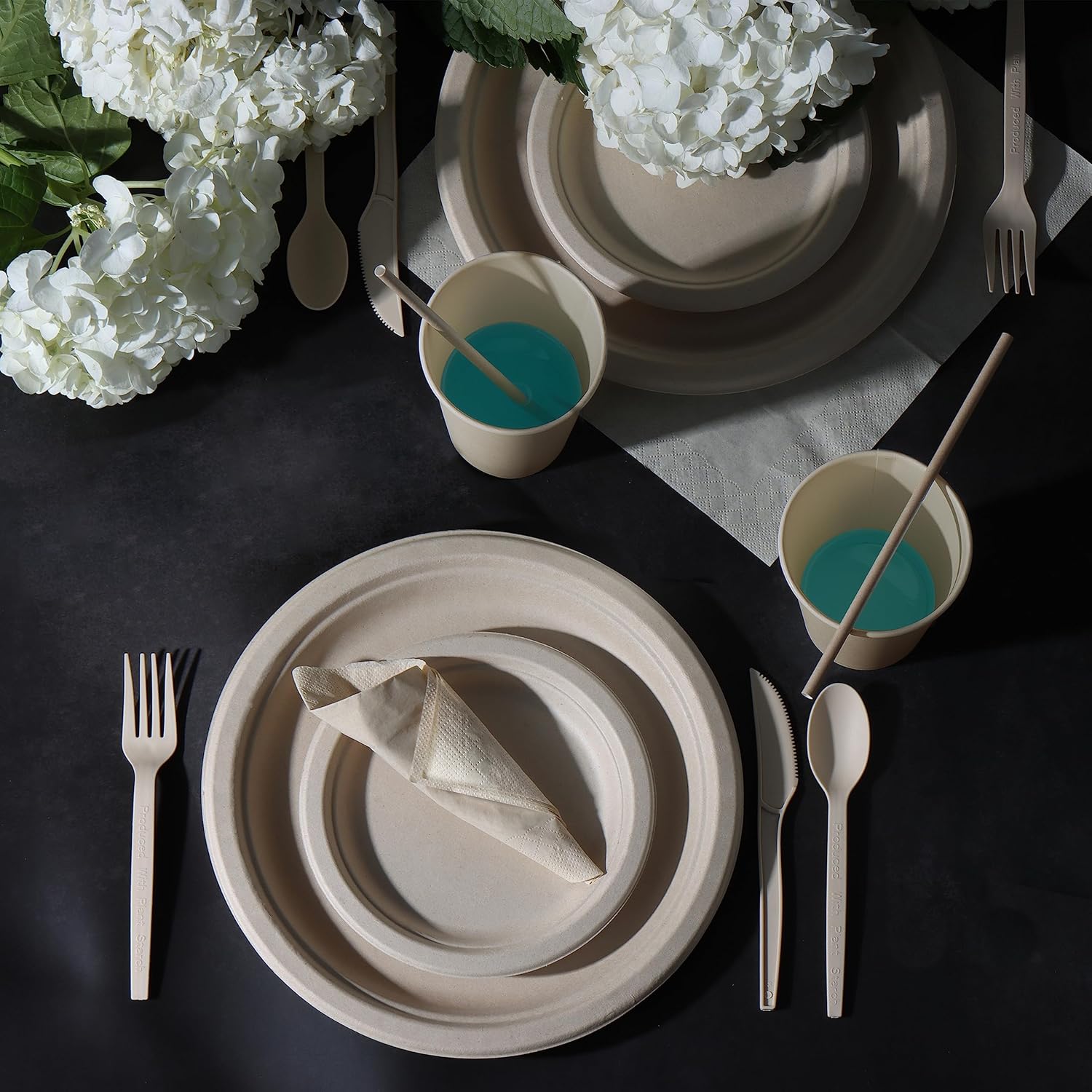Disposable Party Size Dinnerware