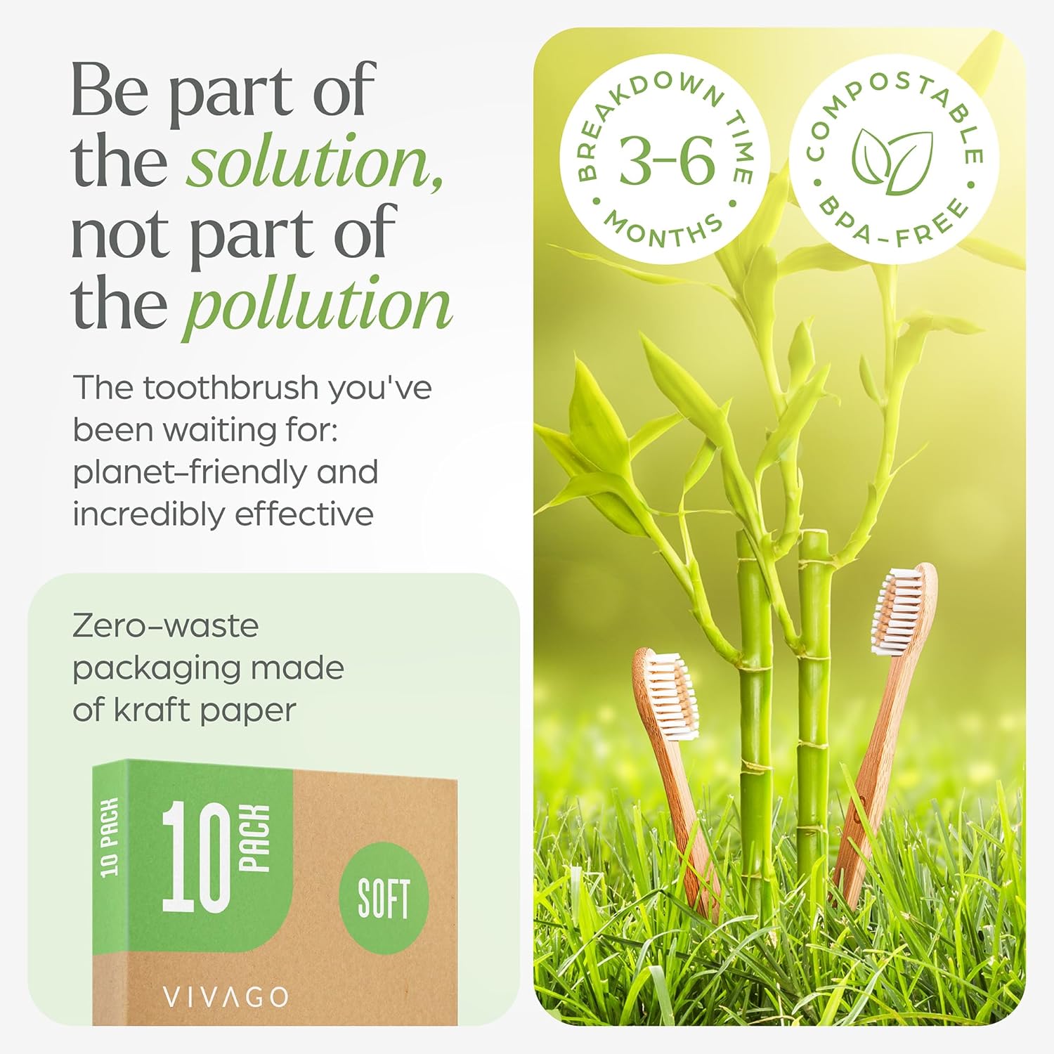 Zero Waste Toothbrush & Tablets 