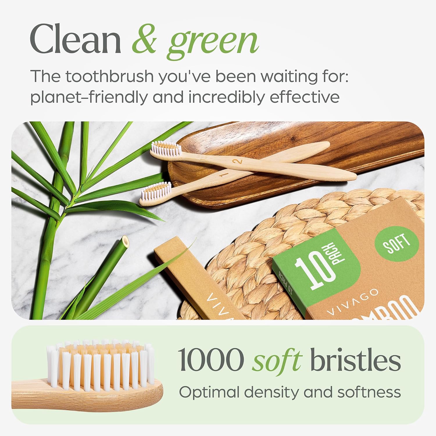 Zero Waste Toothbrush & Tablets 