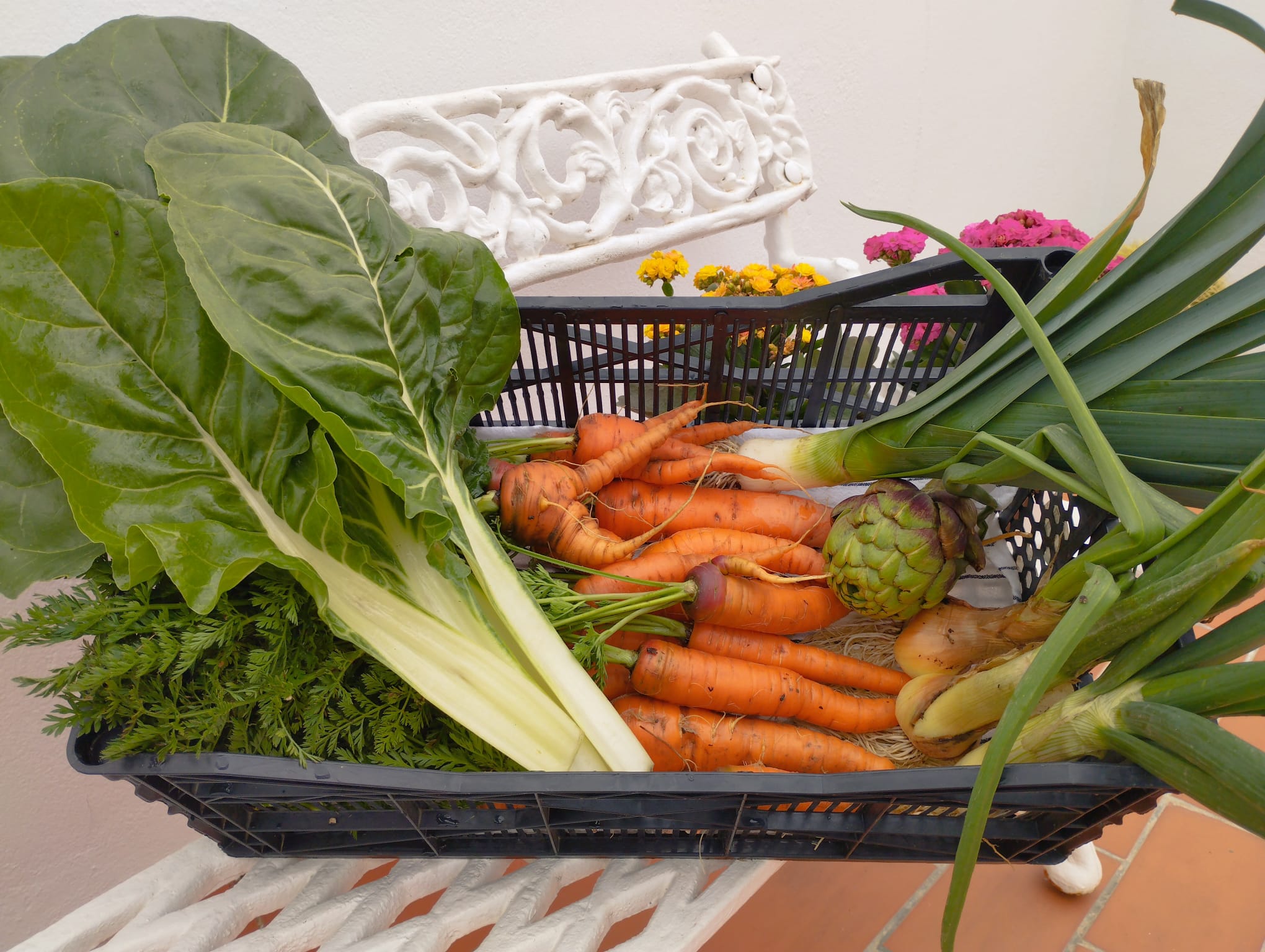 Canasta de Verduras Frescas