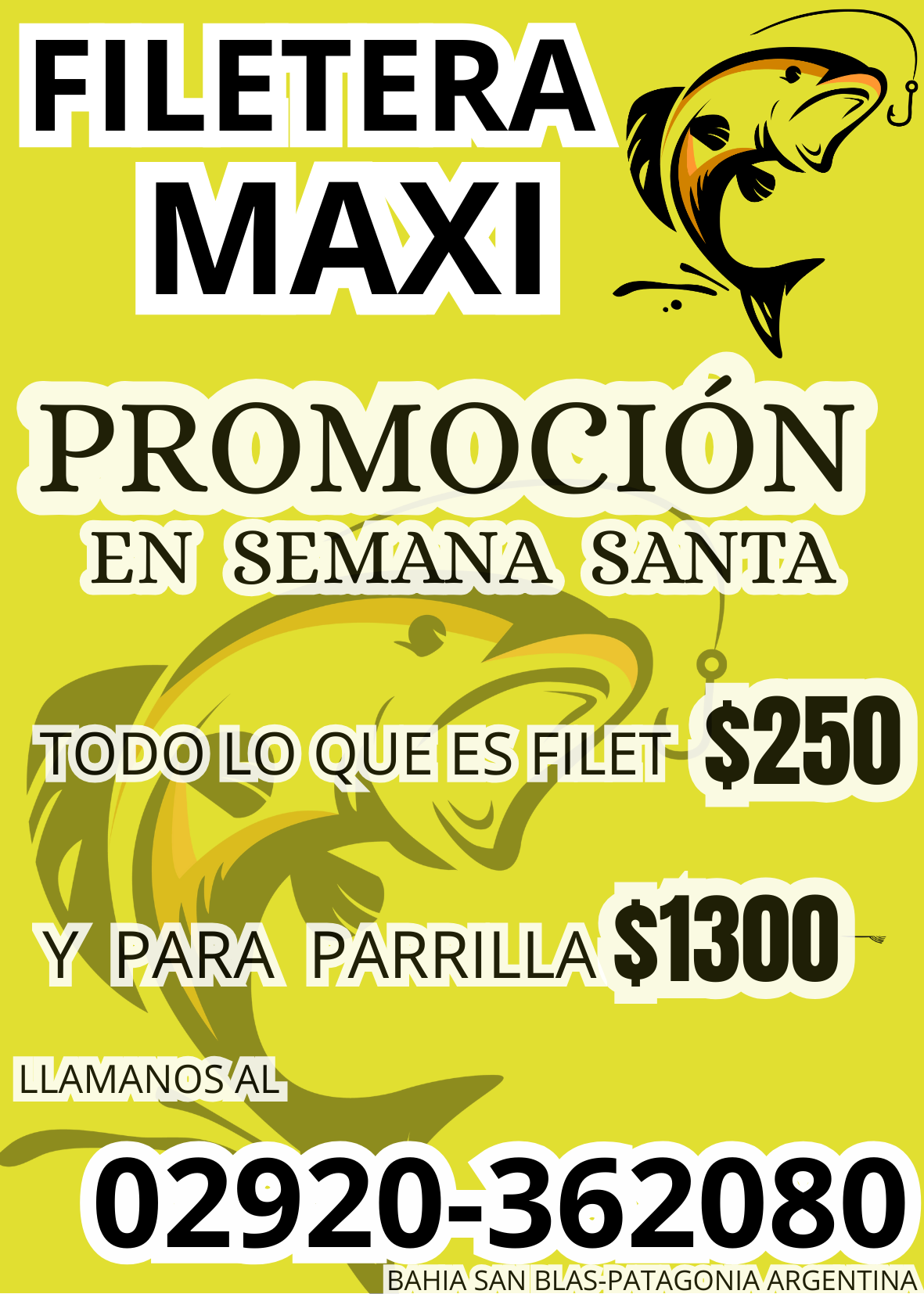 FLYERS