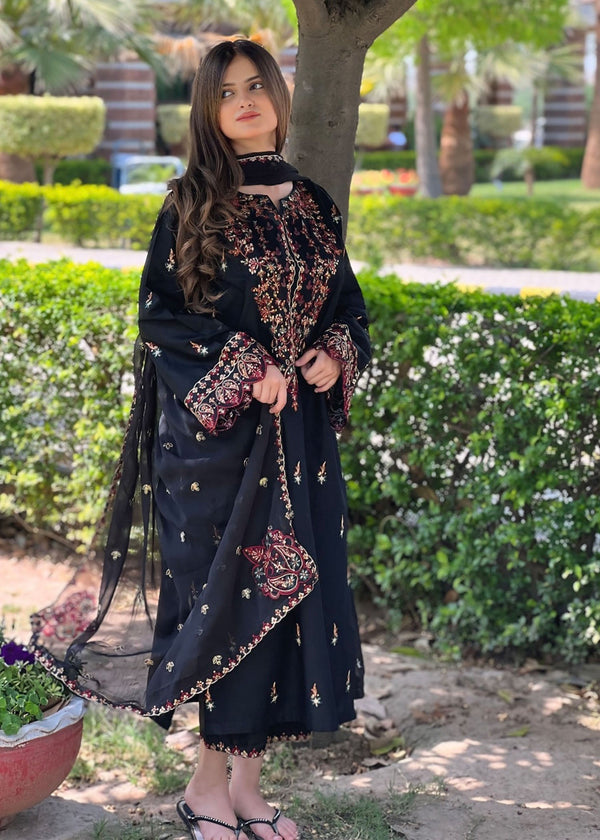 Parsa stiched embroidery 3pc