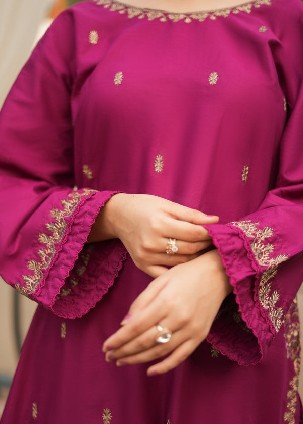 Sapna Embroidered - 2 piece 